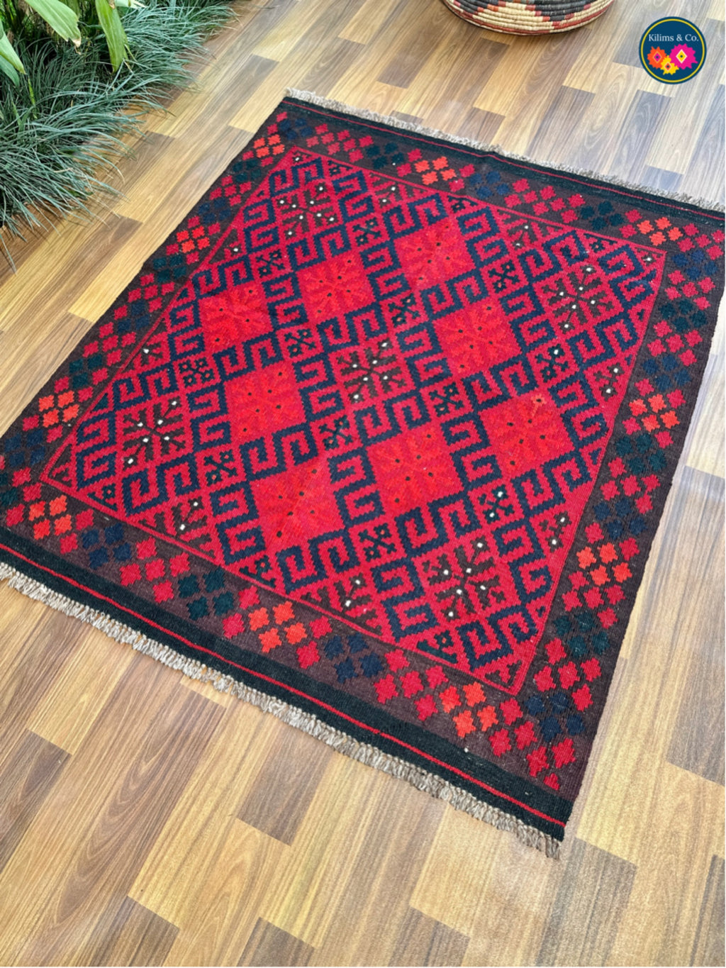 Afghan Beauty 46.0 (3’10”x3’4”)