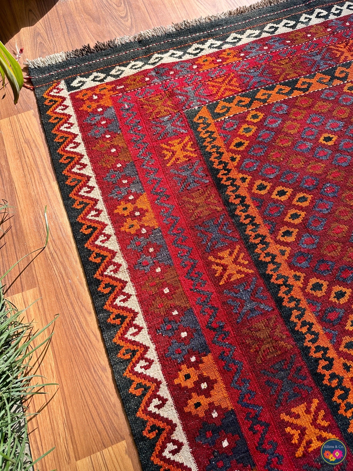 Pure wool Ghalmoori kilim (6′9″ × 3′8″)