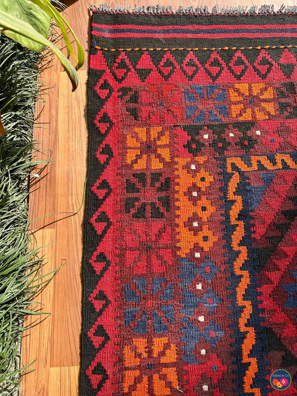 Pure wool Ghalmoori kilim (6′10″ × 4′4″)