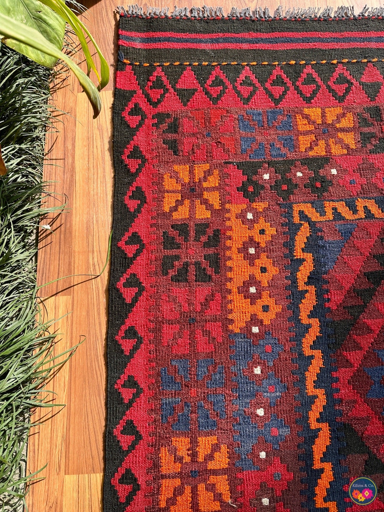 Pure wool Ghalmoori kilim (6′10″ × 4′4″)