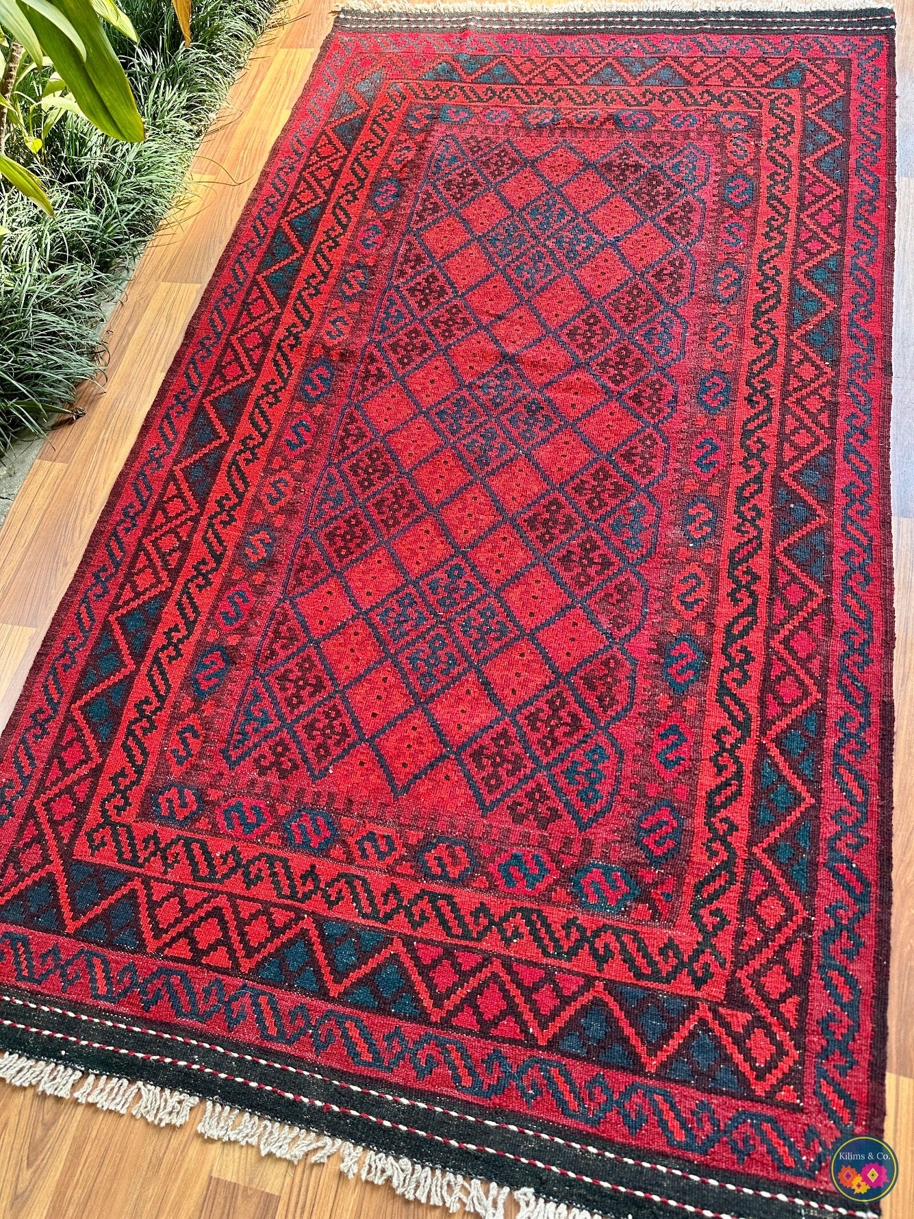 Pure wool Ghalmoori kilim (6′6″ × 3′7″)