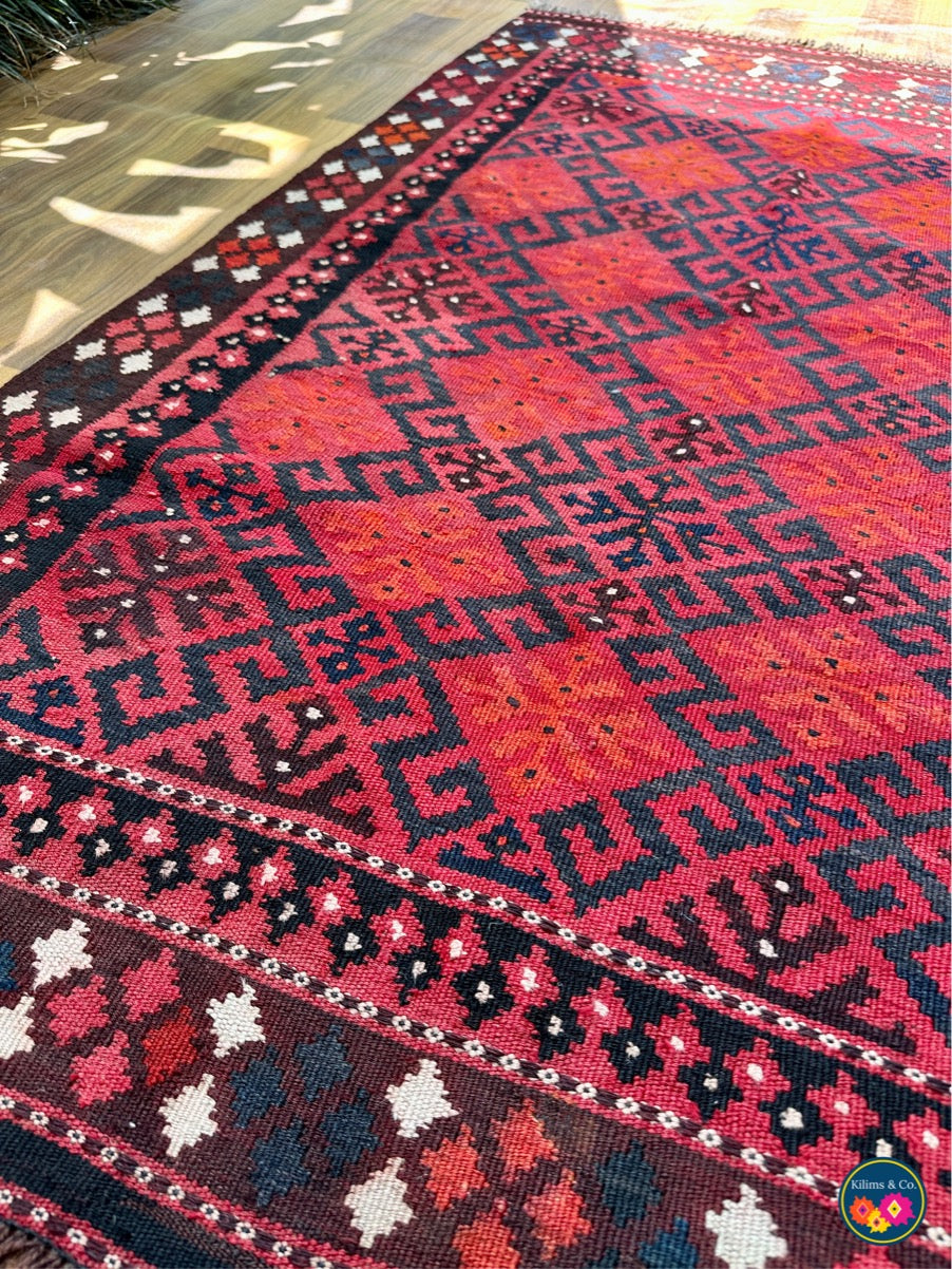 Pure wool kilim 5’1x3’4