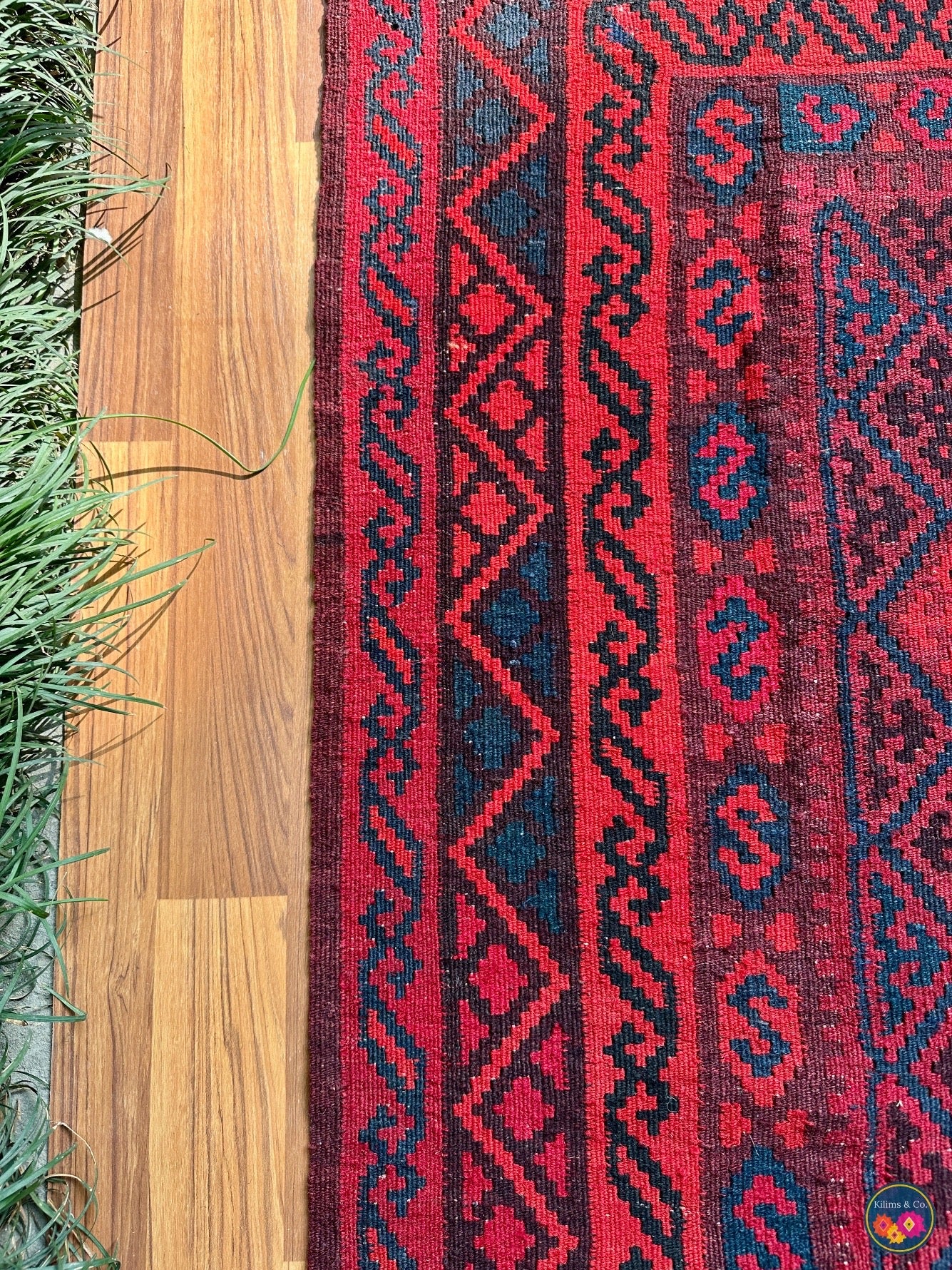 Pure wool Ghalmoori kilim (6′6″ × 3′7″)