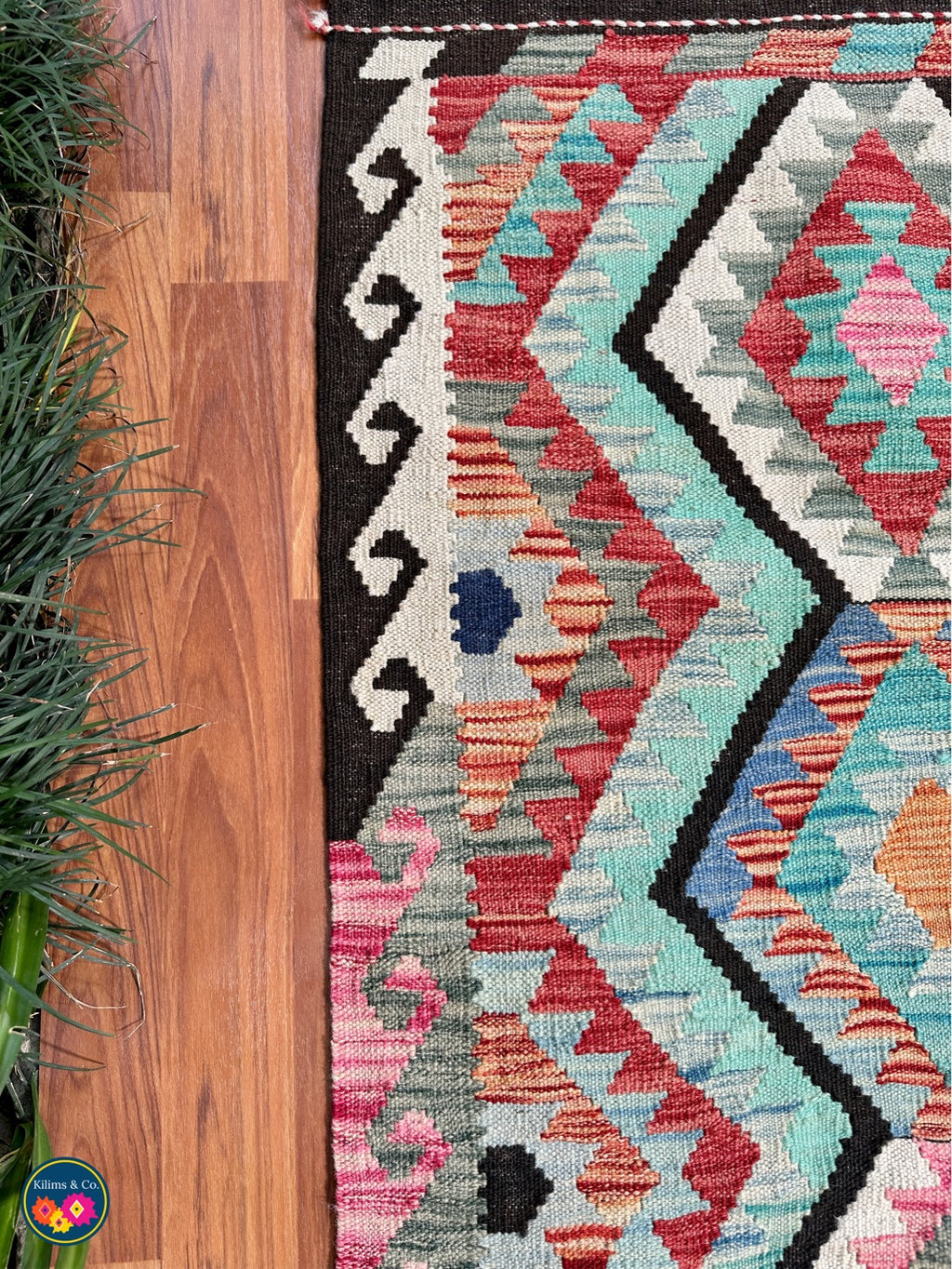 Pure wool kilim 5'4”x4'1”
