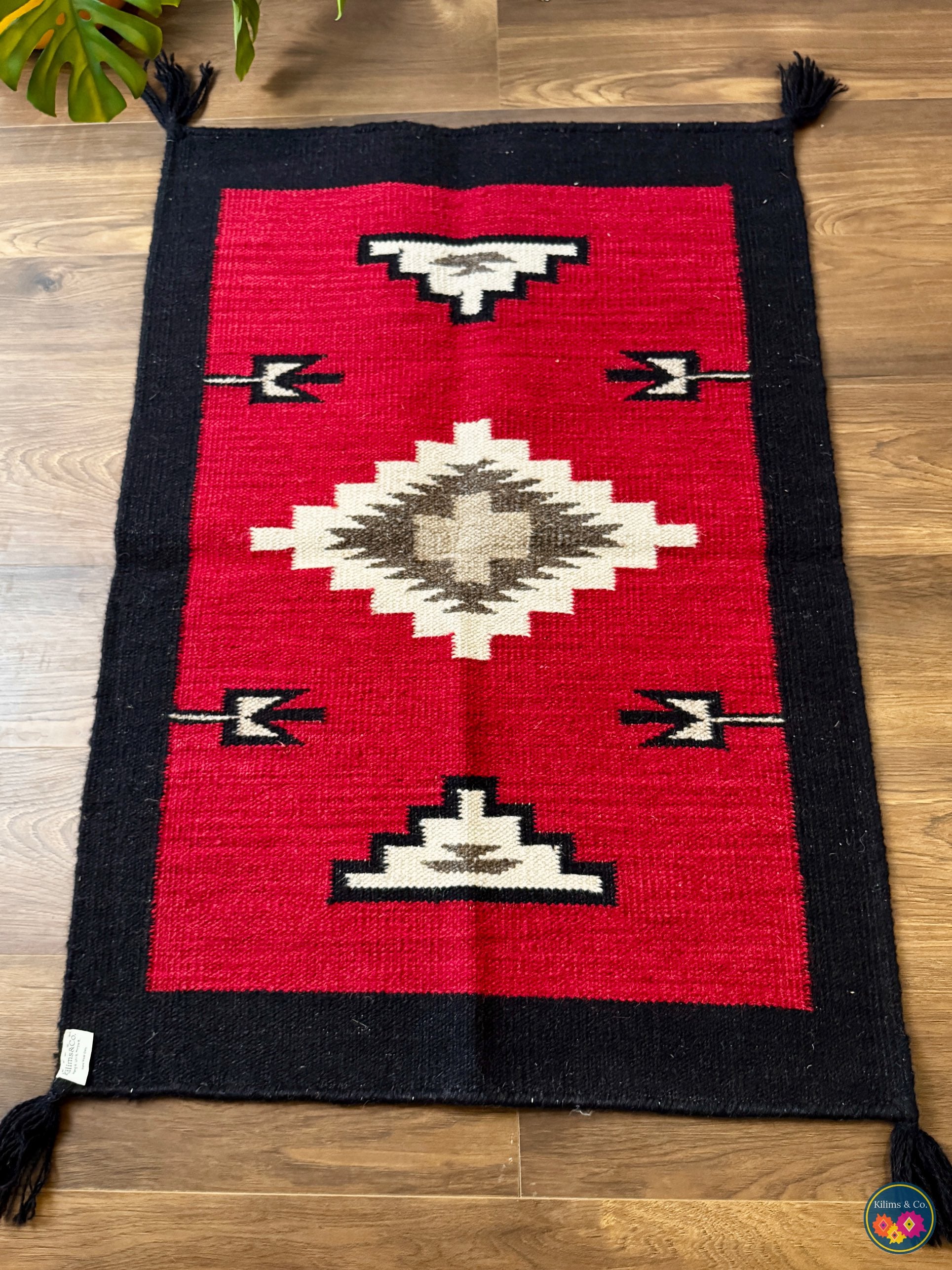 Pure Wool Hanging kilim (3’2x2’1)