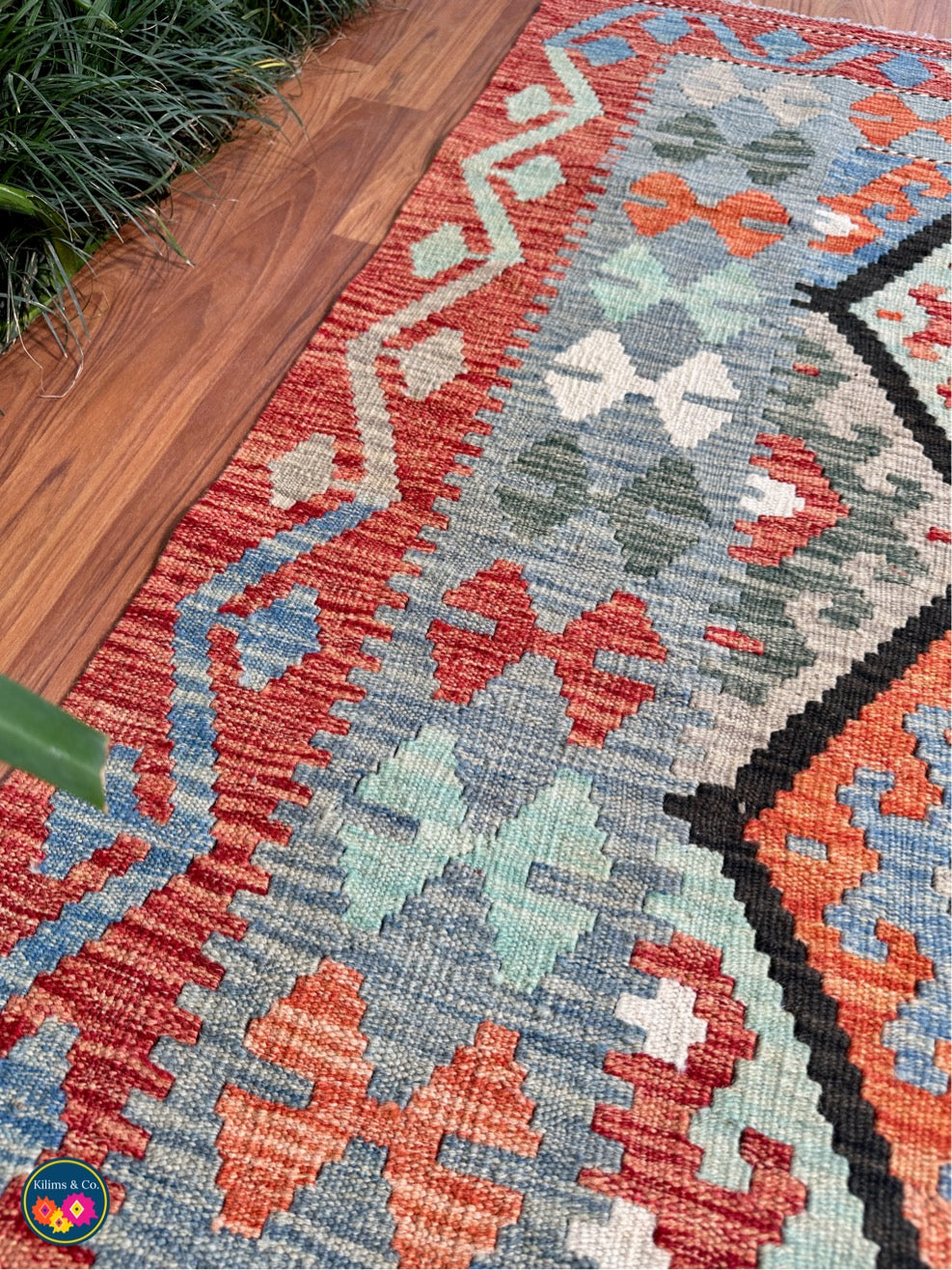 Pure wool kilim 5'8”x4'2”