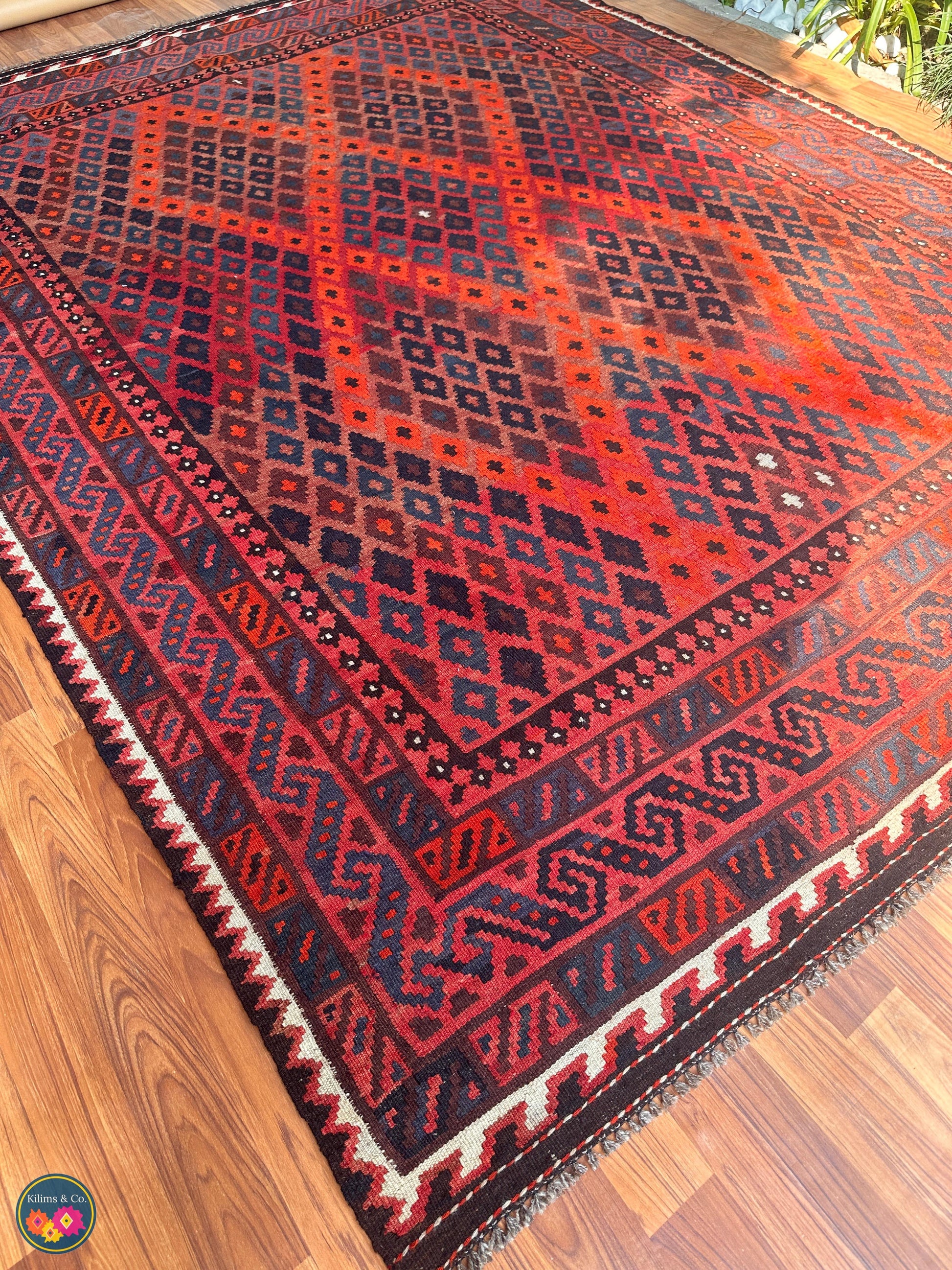 Pure Wool kilim 8ft 4in x 6ft 4in