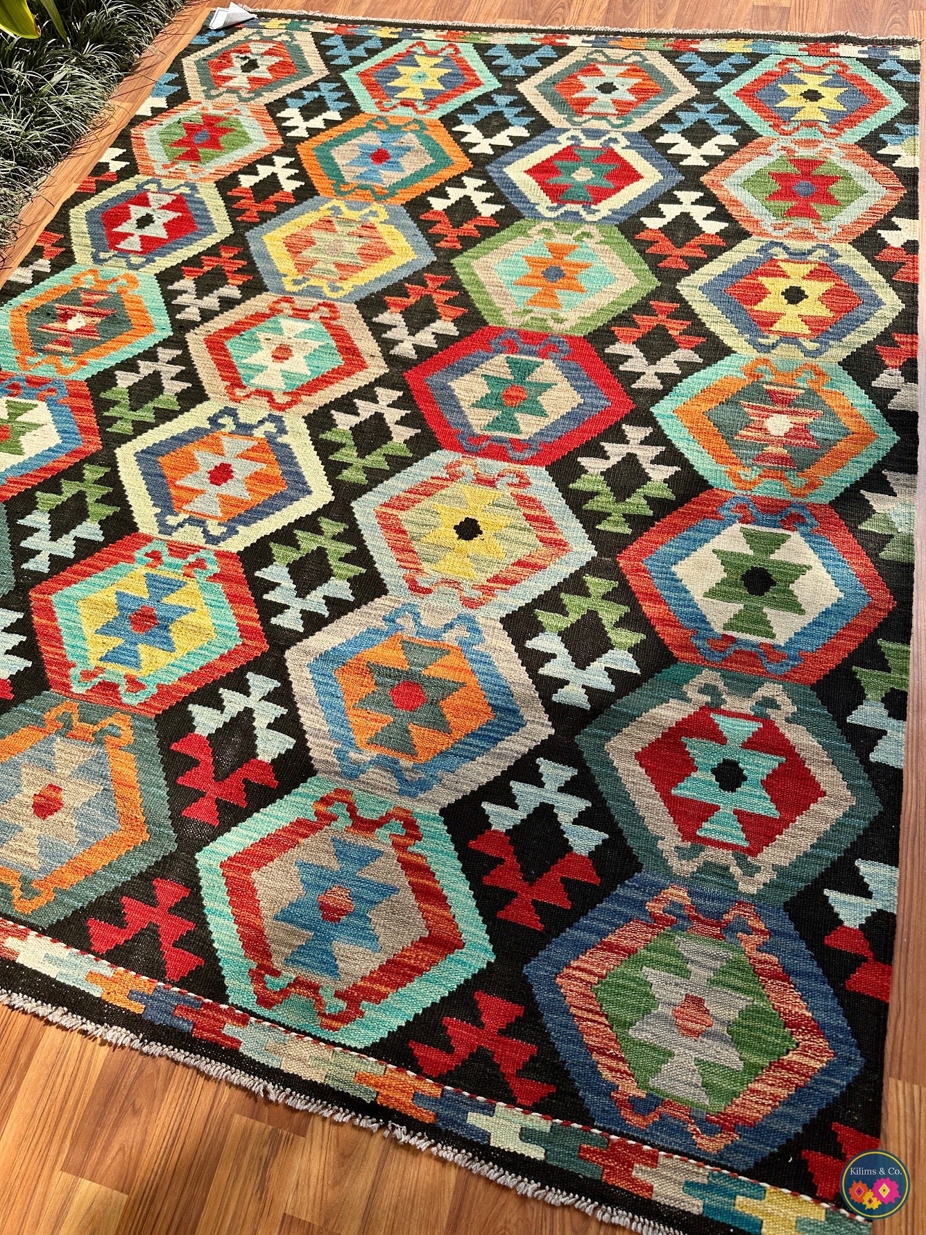 Pure wool kilim (6′8″ × 5′1″)