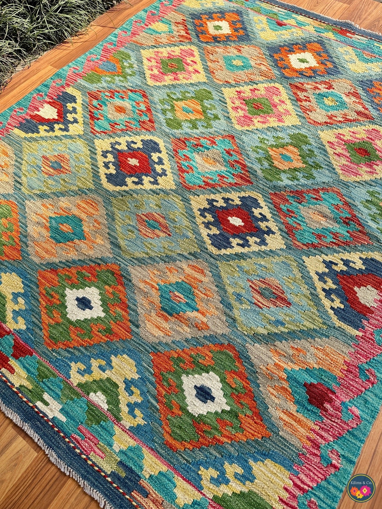 Pure wool kilim (5′5″ × 4′3″)