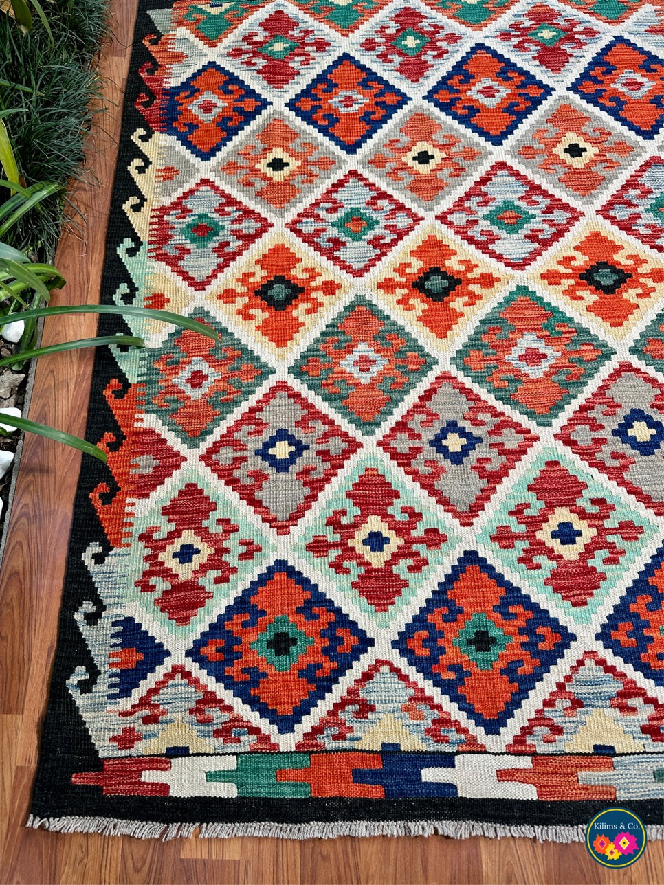 Pure wool kilim 5'7”x4'1”