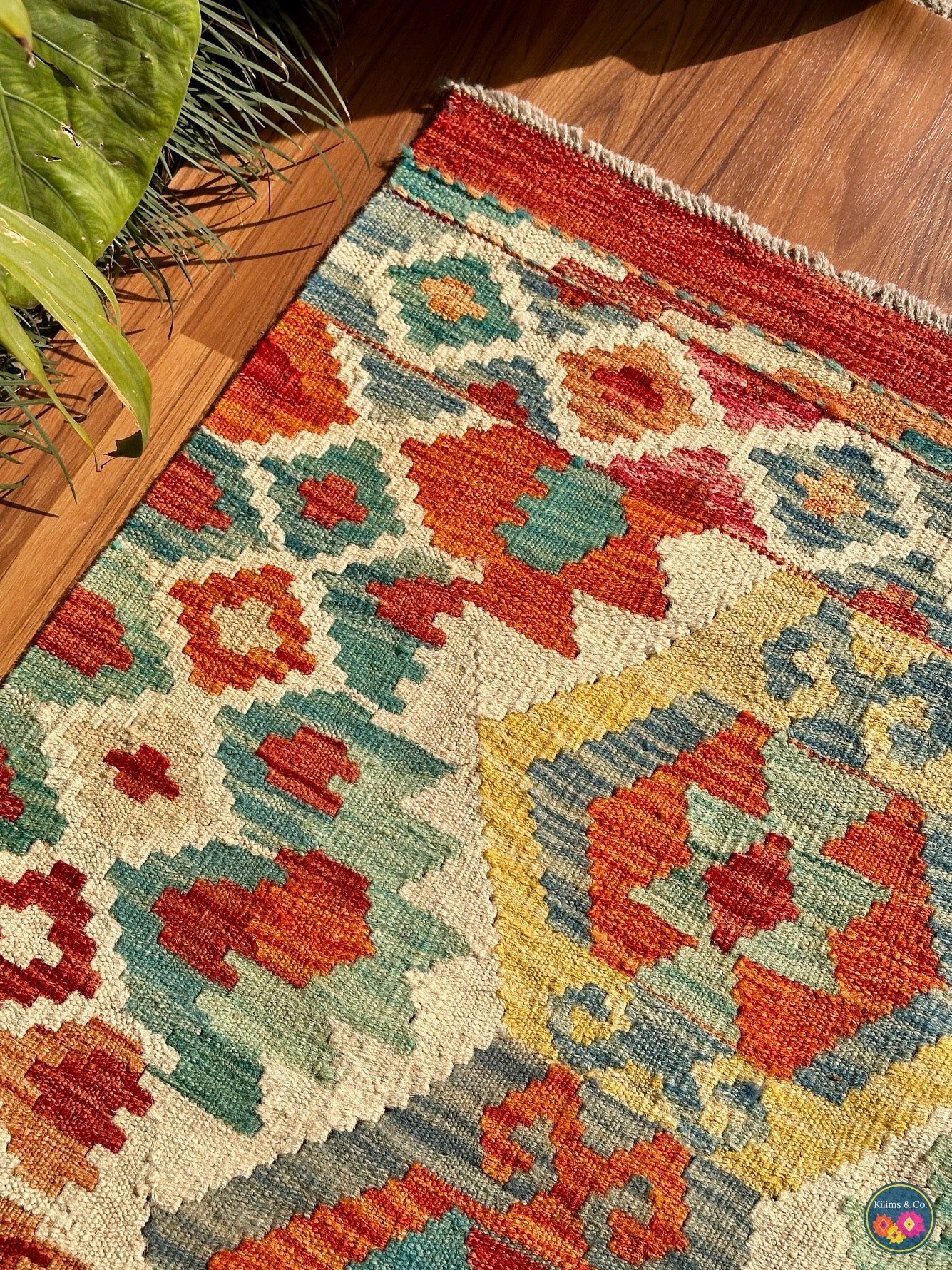 Pure wool kilim (6′8″ × 4′11″ )