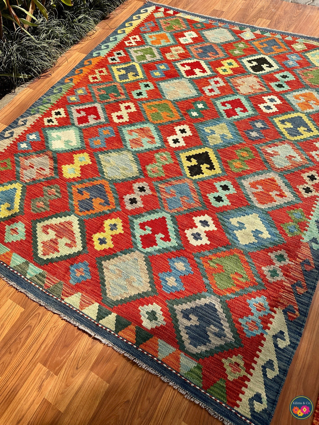 Pure wool kilim (6′5″ × 5′0″)