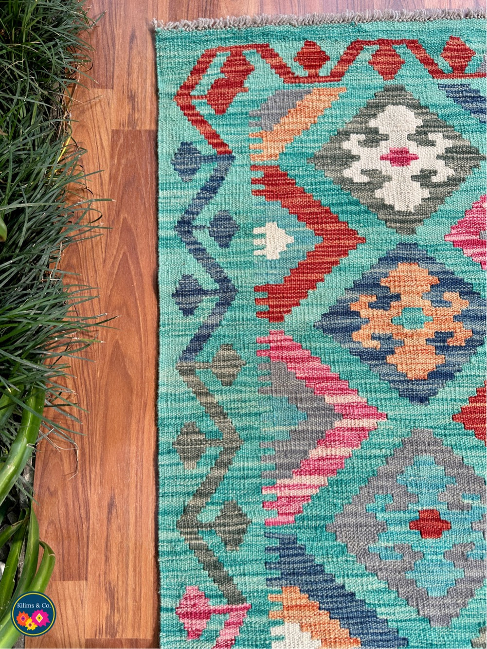 Pure wool kilim 5'10”x4'2”