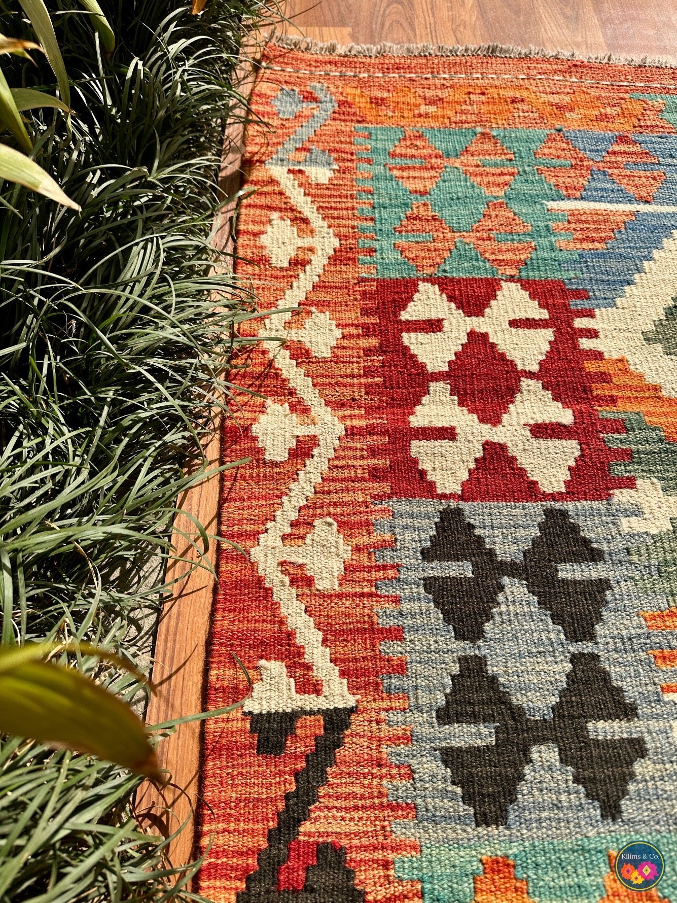 Pure wool kilim (6′7″ × 5′2″ )