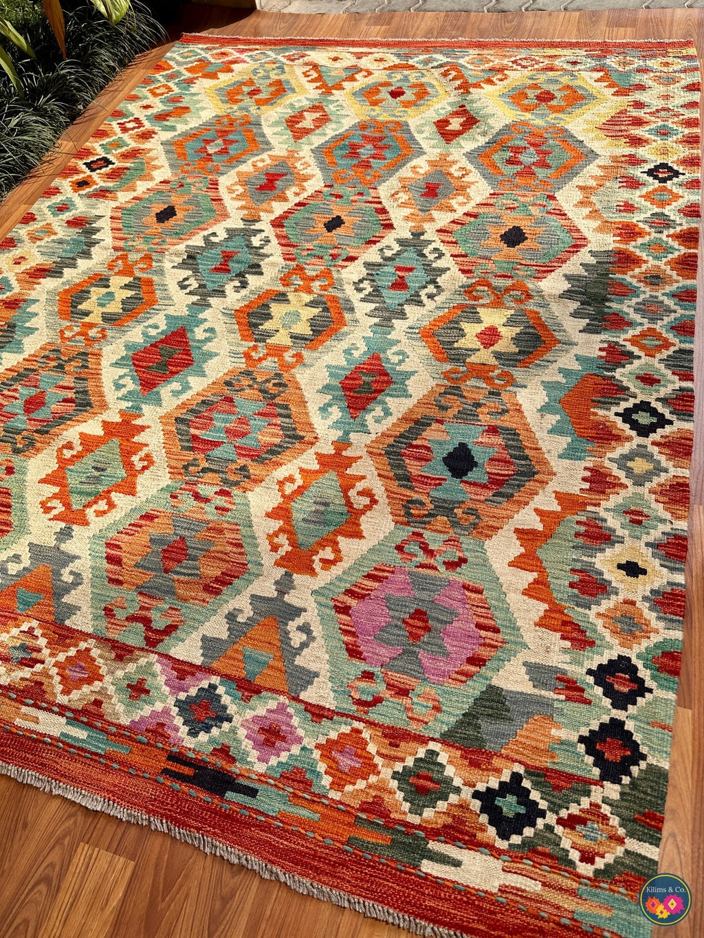 Pure wool kilim (6′8″ × 4′11″ )