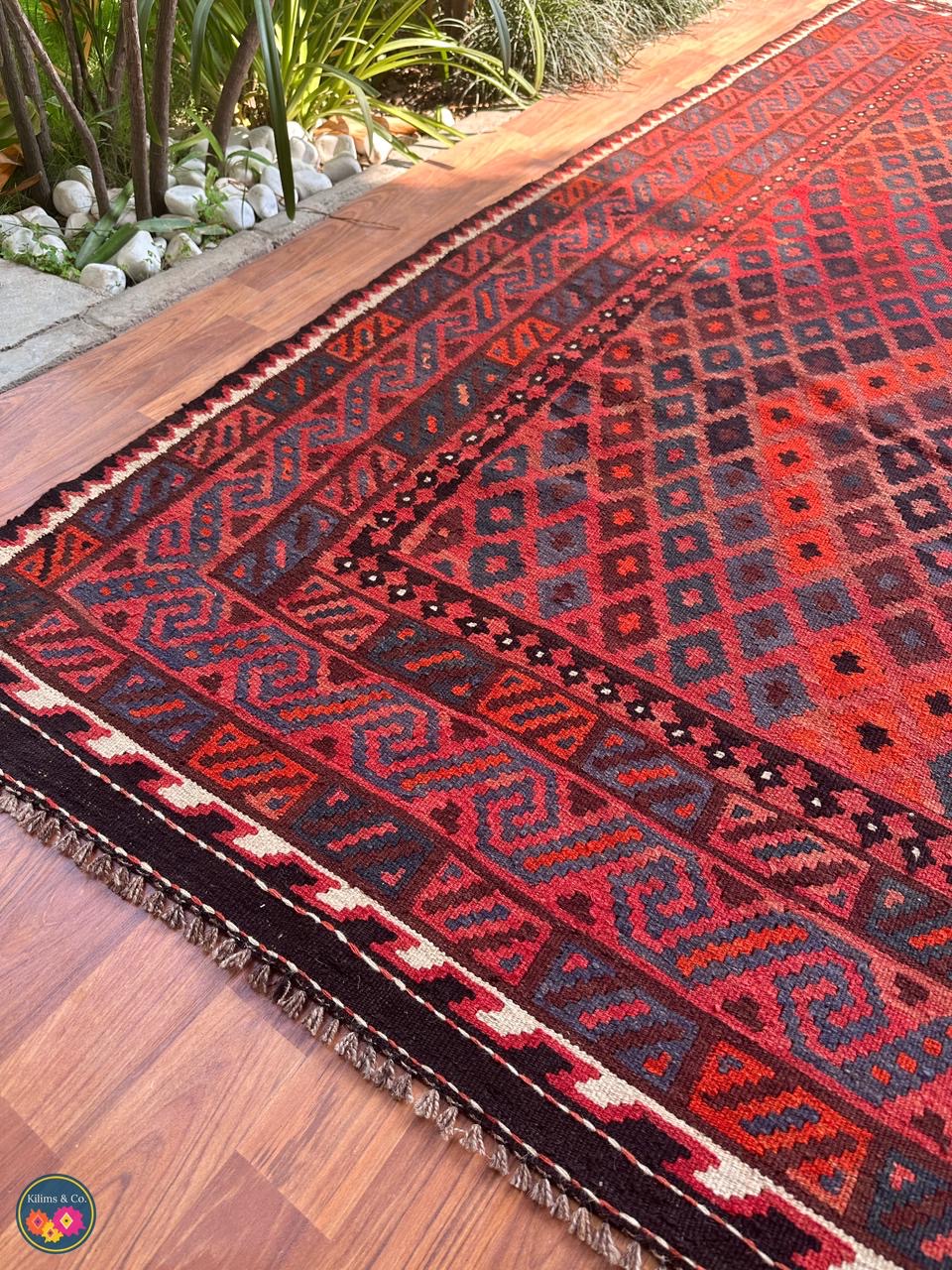 Pure Wool kilim 8ft 4in x 6ft 4in