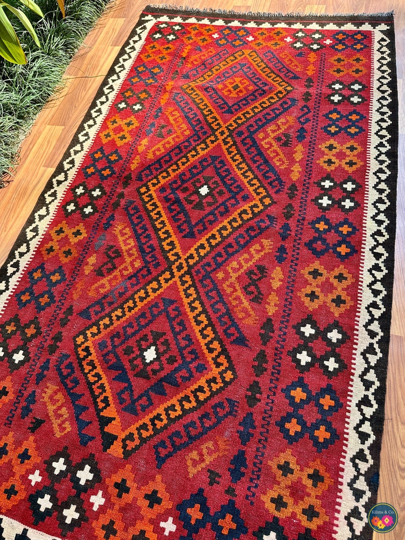 Pure wool Ghalmoori kilim (6′6″ × 3′7″)