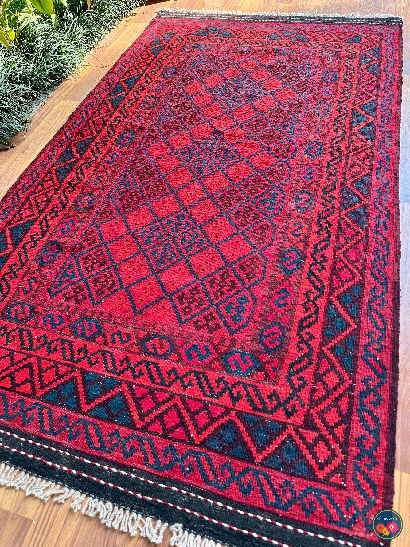 Pure wool Ghalmoori kilim (6′6″ × 3′7″)