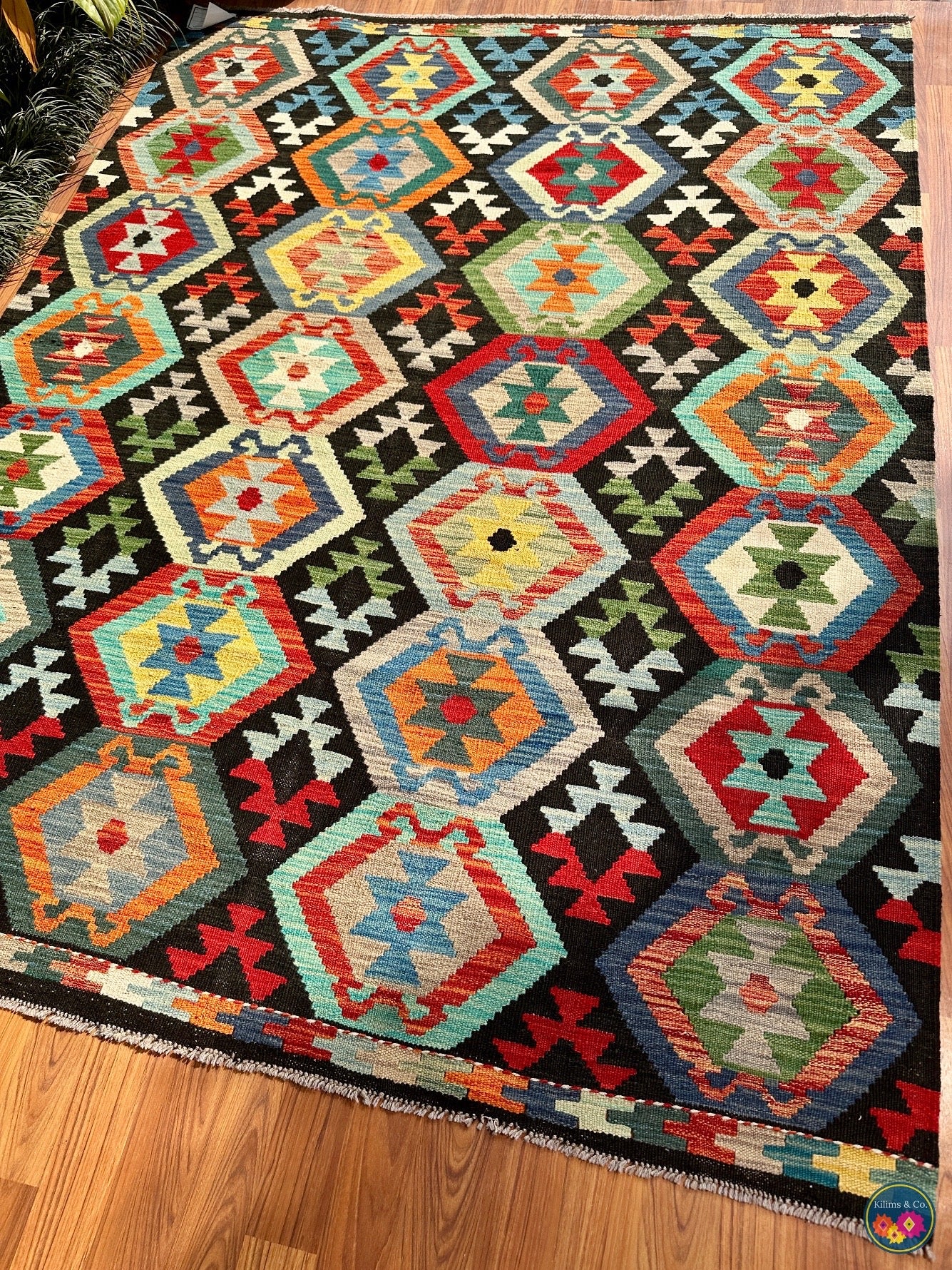 Pure wool kilim (6′8″ × 5′1″)
