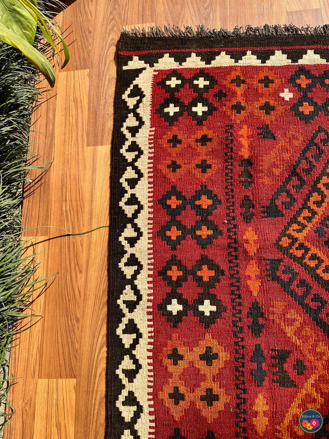 Pure wool Ghalmoori kilim (6′6″ × 3′7″)