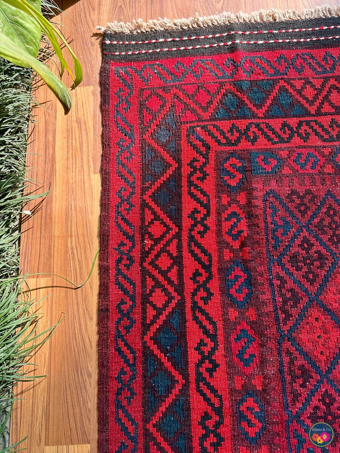 Pure wool Ghalmoori kilim (6′6″ × 3′7″)