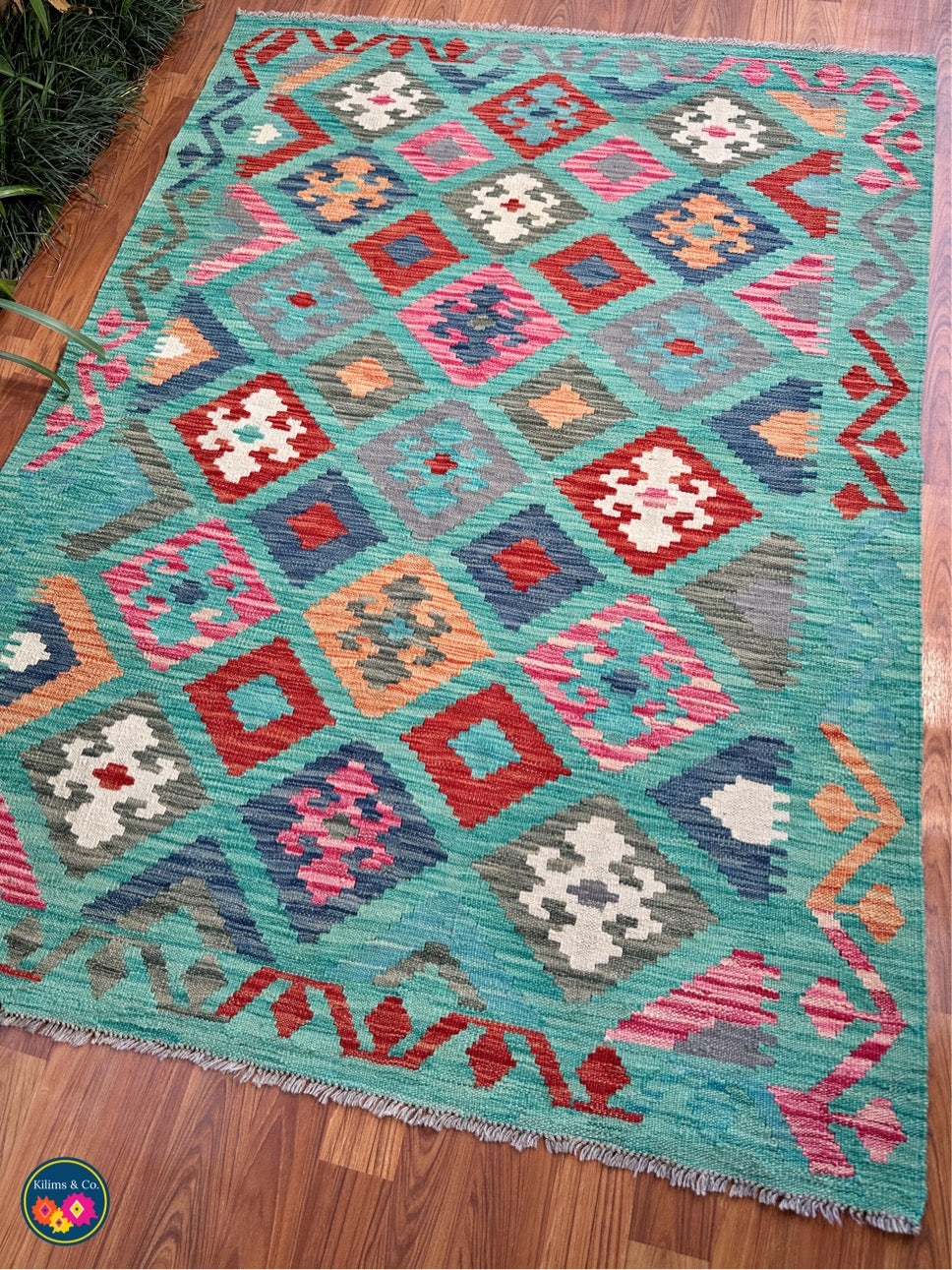 Pure wool kilim 5'10”x4'2”