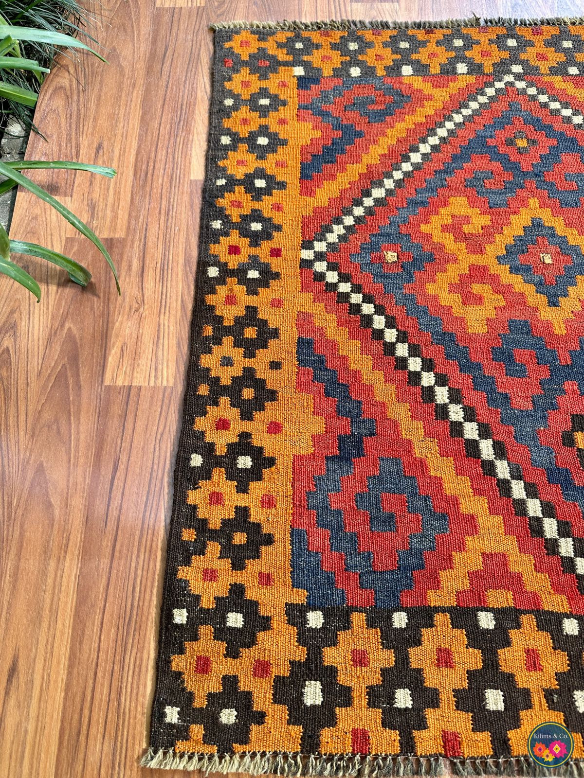 Pure Wool Hanging kilim 3’2” x 2’11”