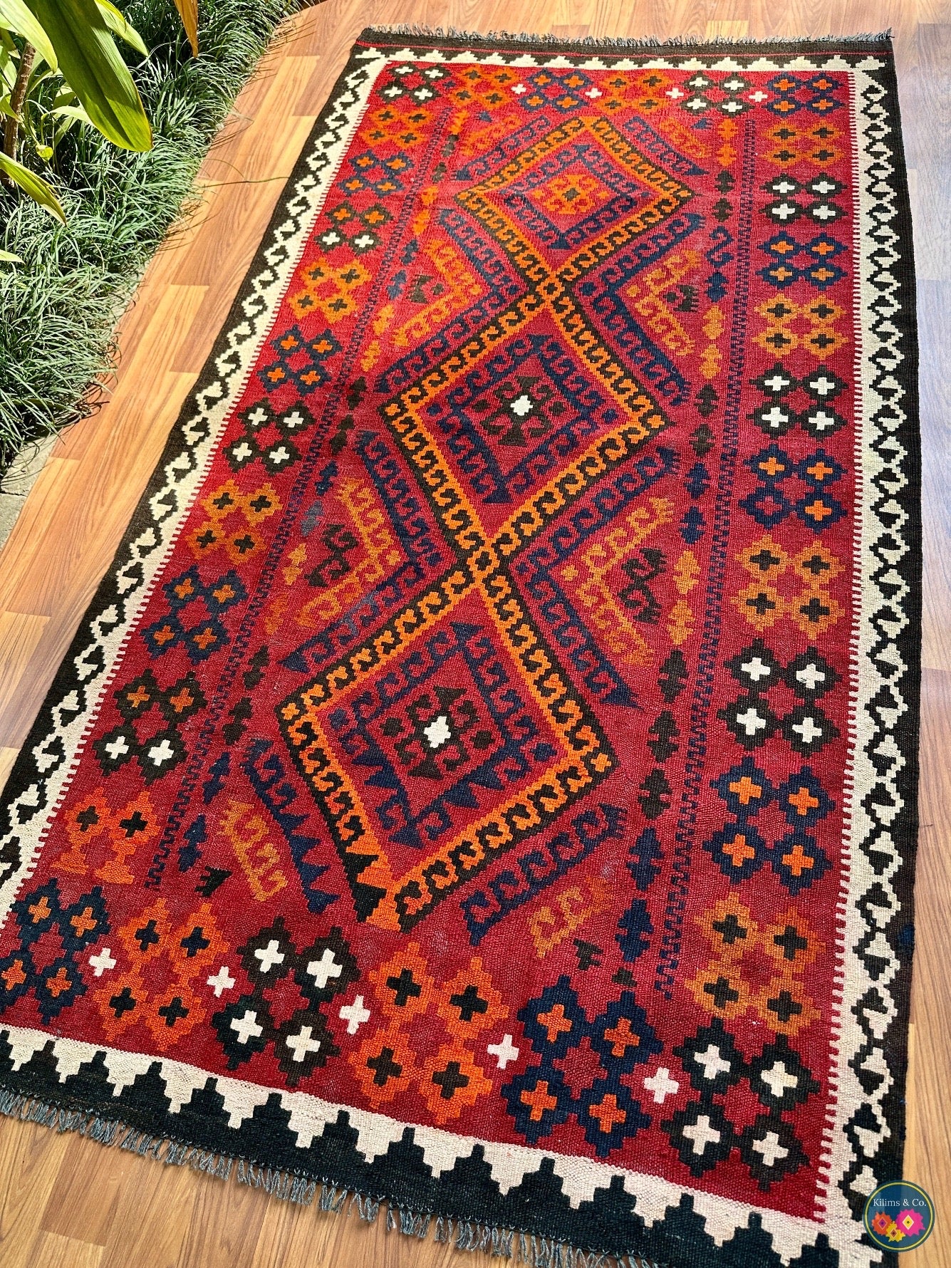 Pure wool Ghalmoori kilim (6′6″ × 3′7″)