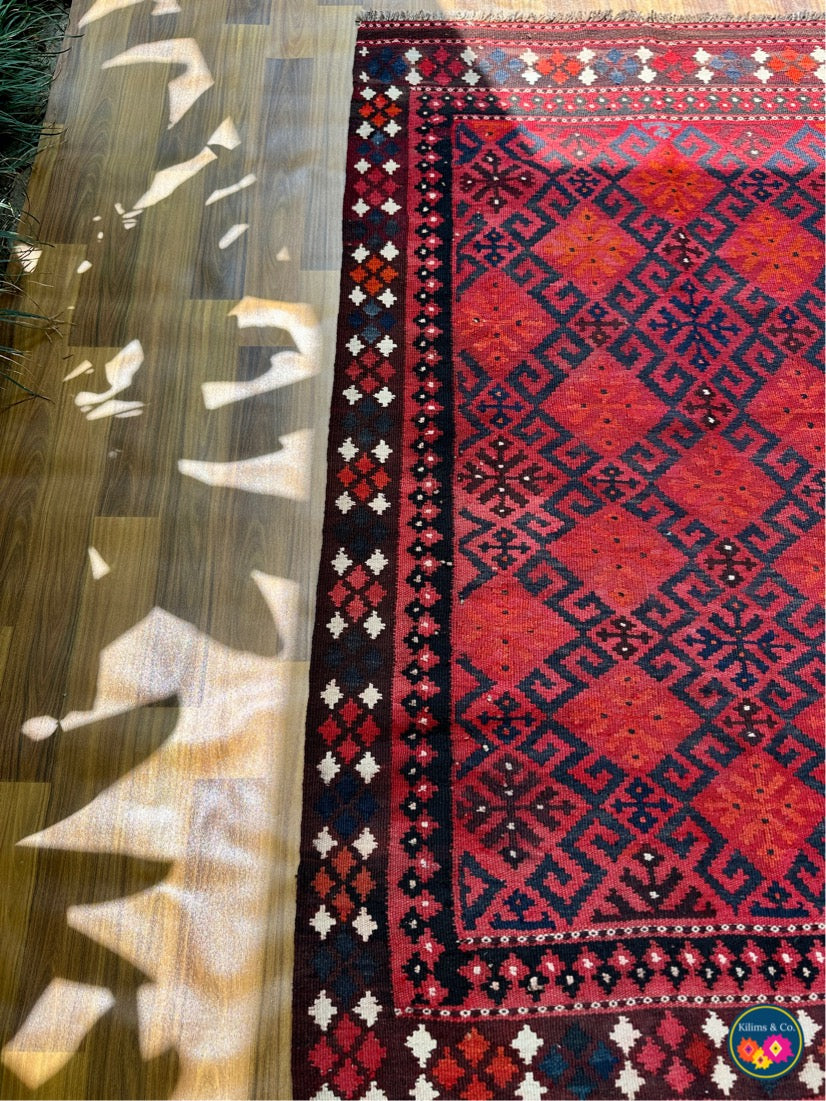 Pure wool kilim 5’1x3’4