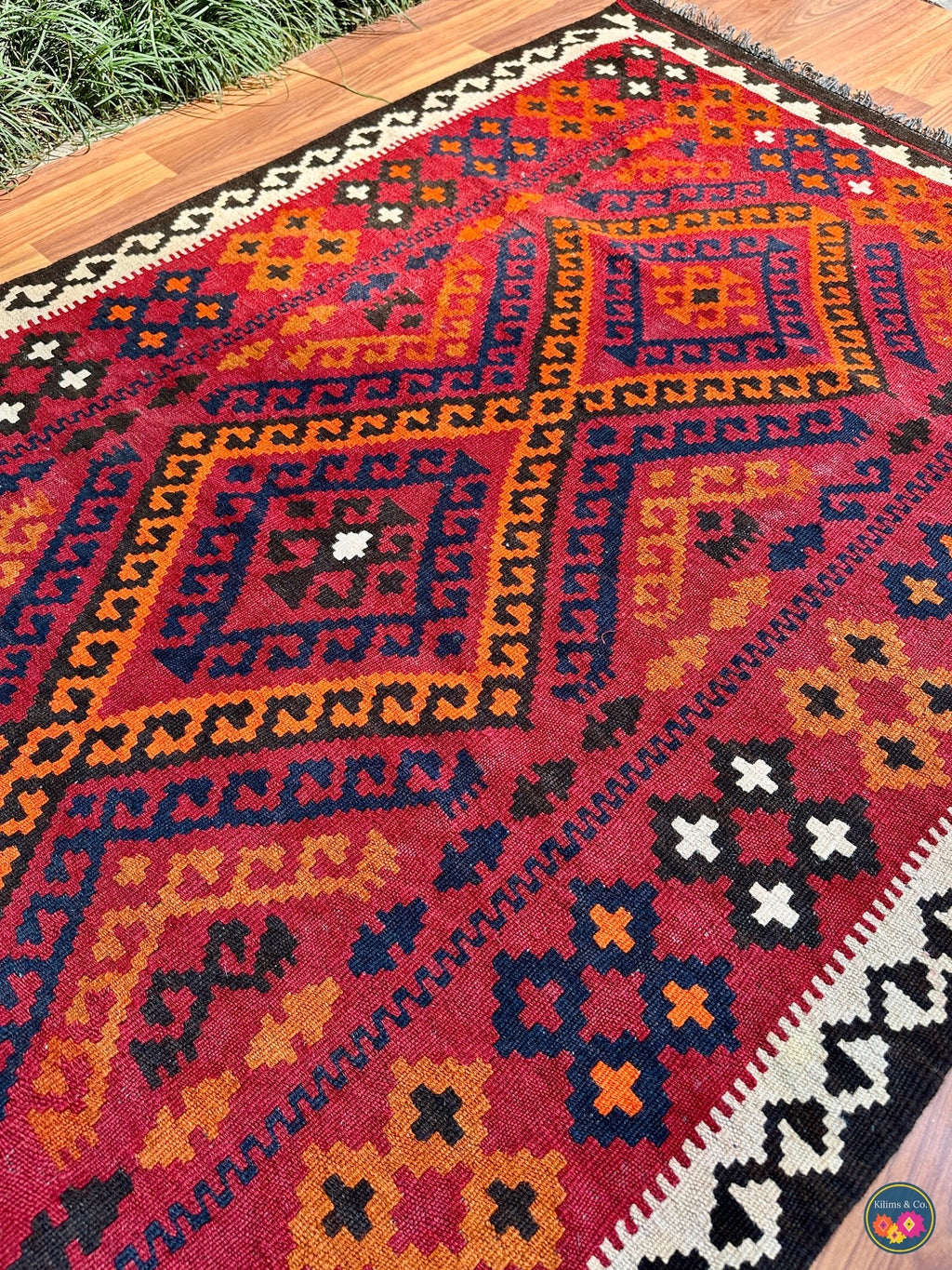 Pure wool Ghalmoori kilim (6′6″ × 3′7″)
