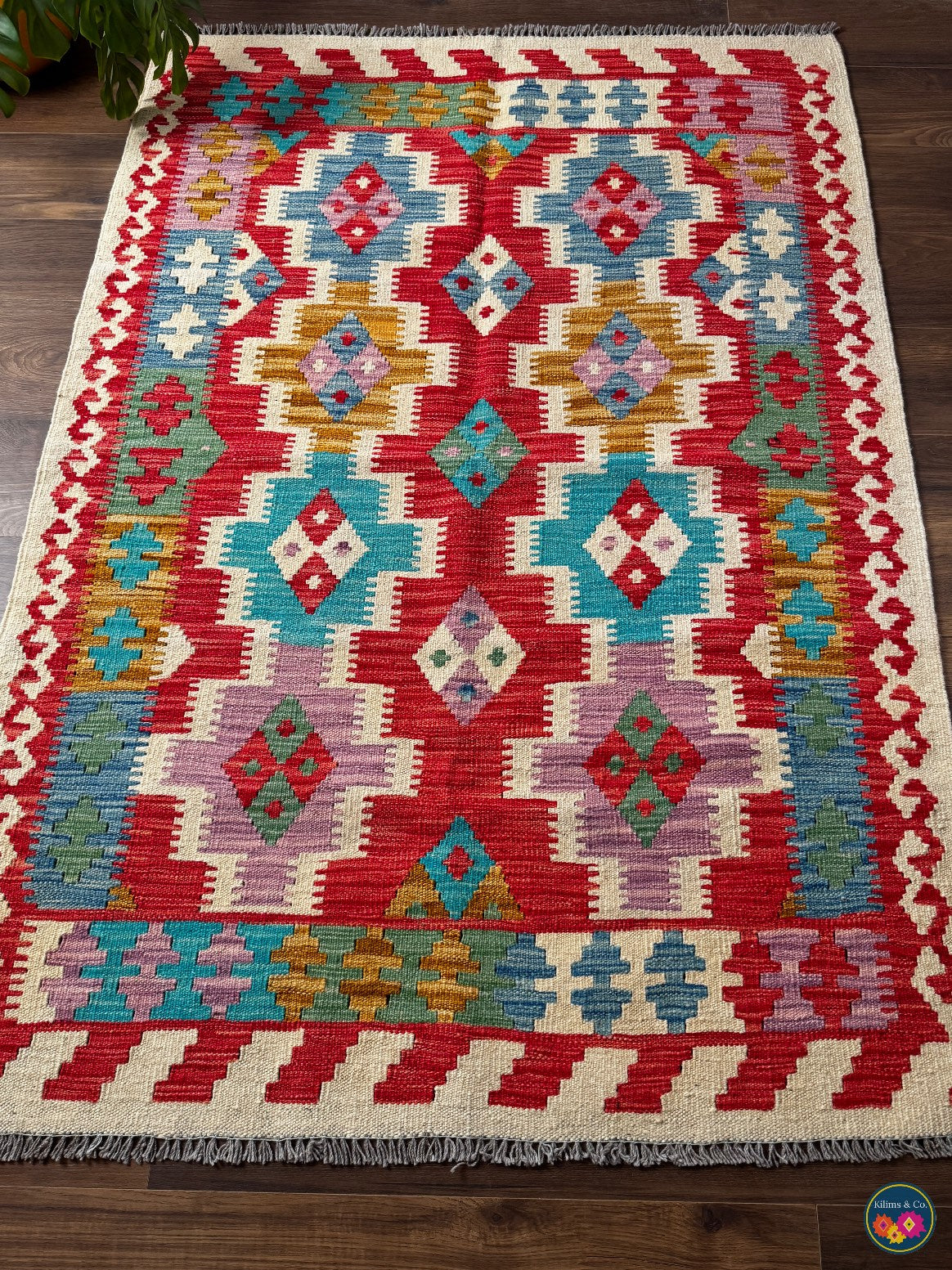 Pure Wool kilim 5’0”x3’6”