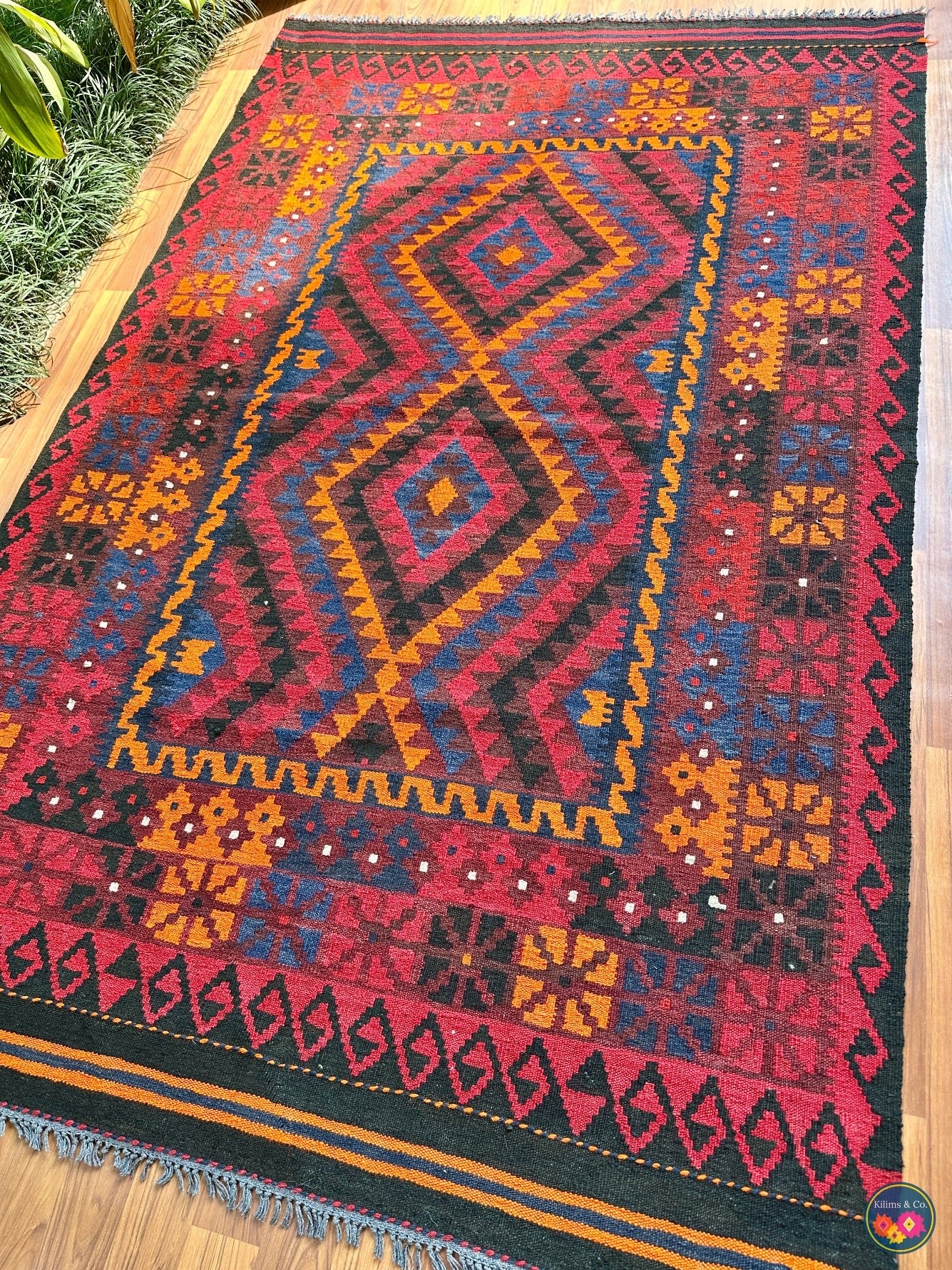 Pure wool Ghalmoori kilim (6′10″ × 4′4″)