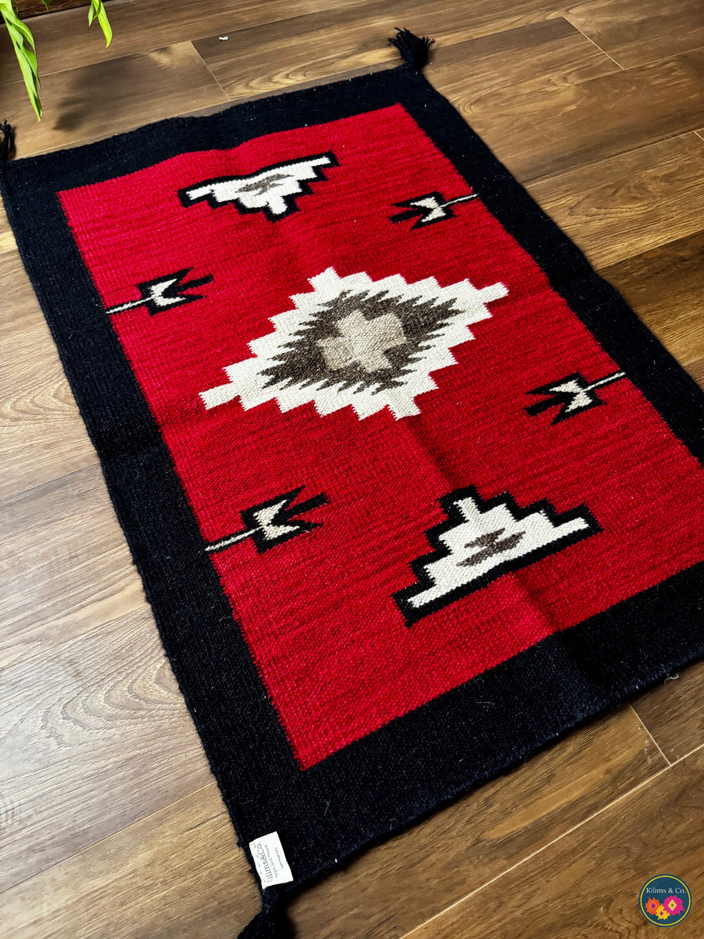 Pure Wool Hanging kilim (3’2x2’1)