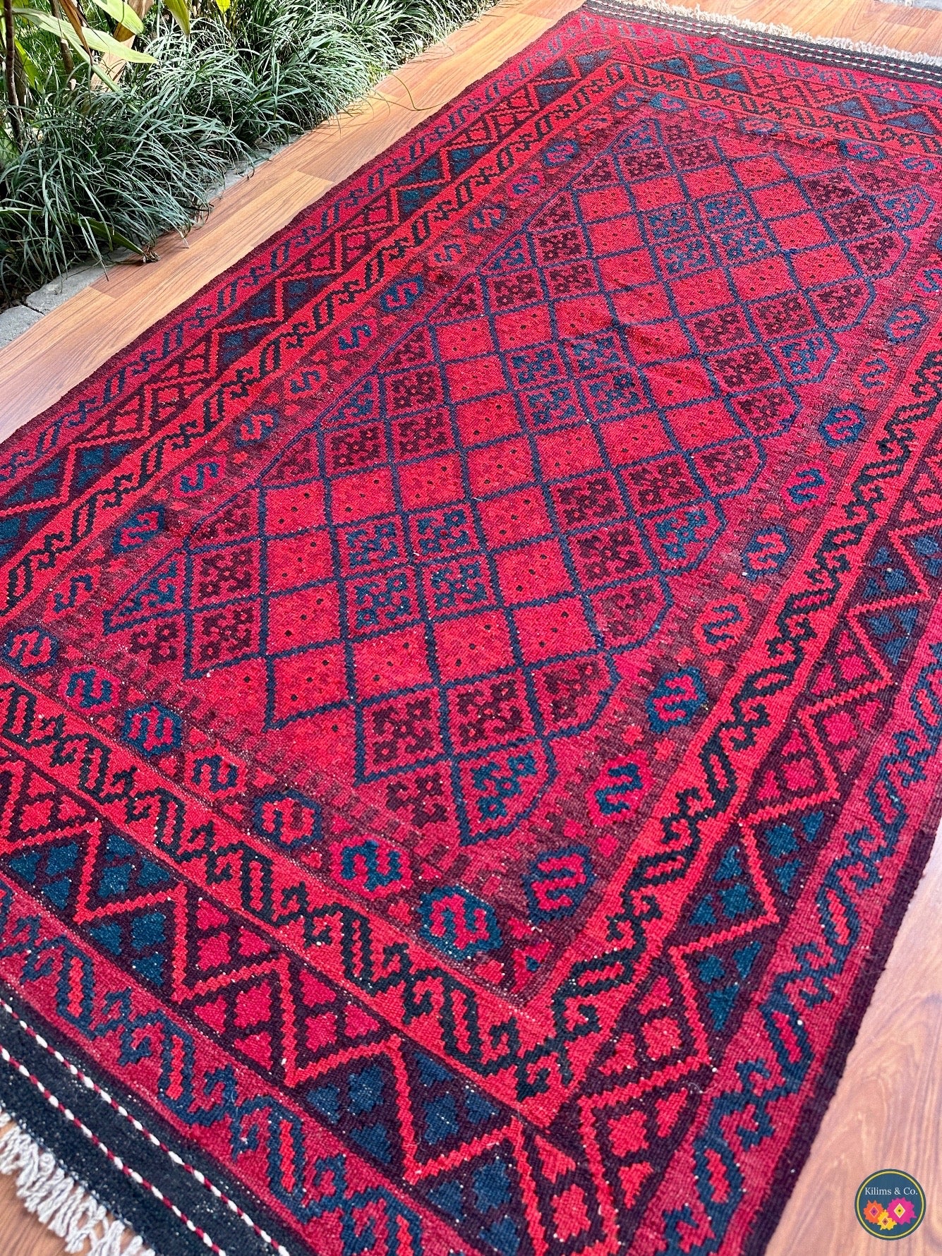 Pure wool Ghalmoori kilim (6′6″ × 3′7″)
