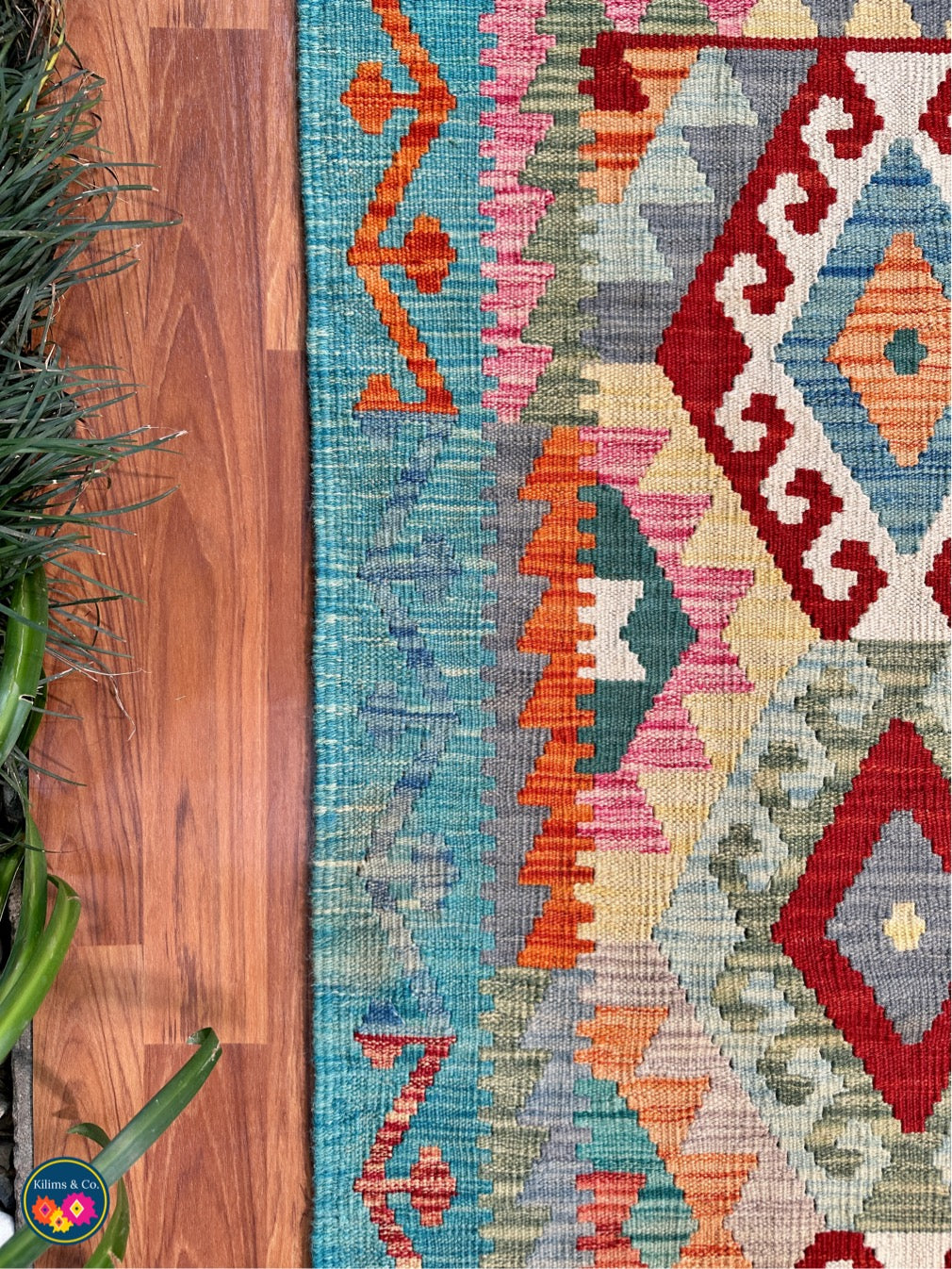 Pure wool kilim 5'10”x4'1”