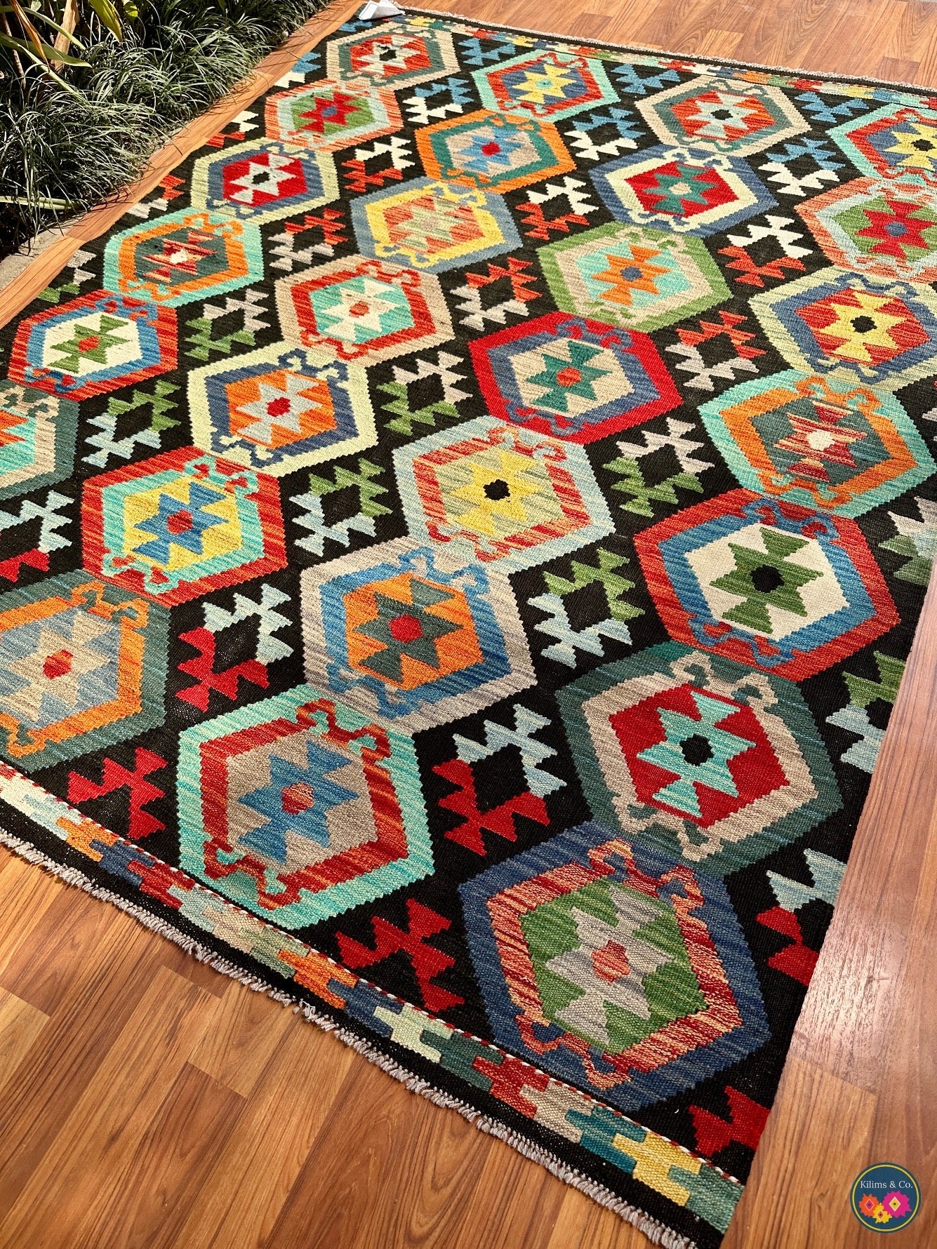 Pure wool kilim (6′8″ × 5′1″)