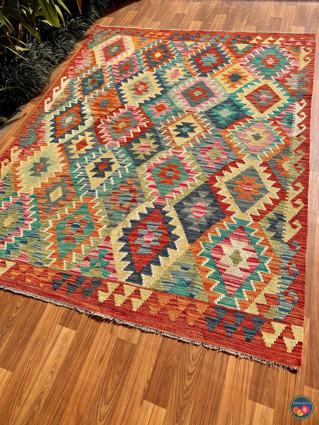 Pure wool kilim (6′6″ × 5′0″)