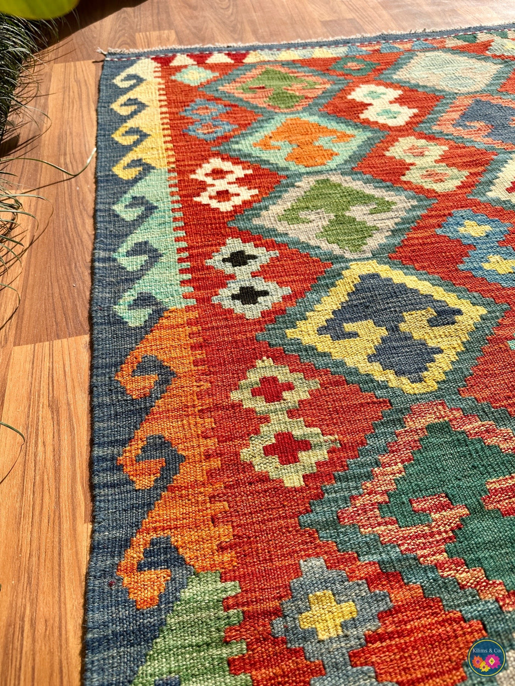 Pure wool kilim (6′5″ × 5′0″)