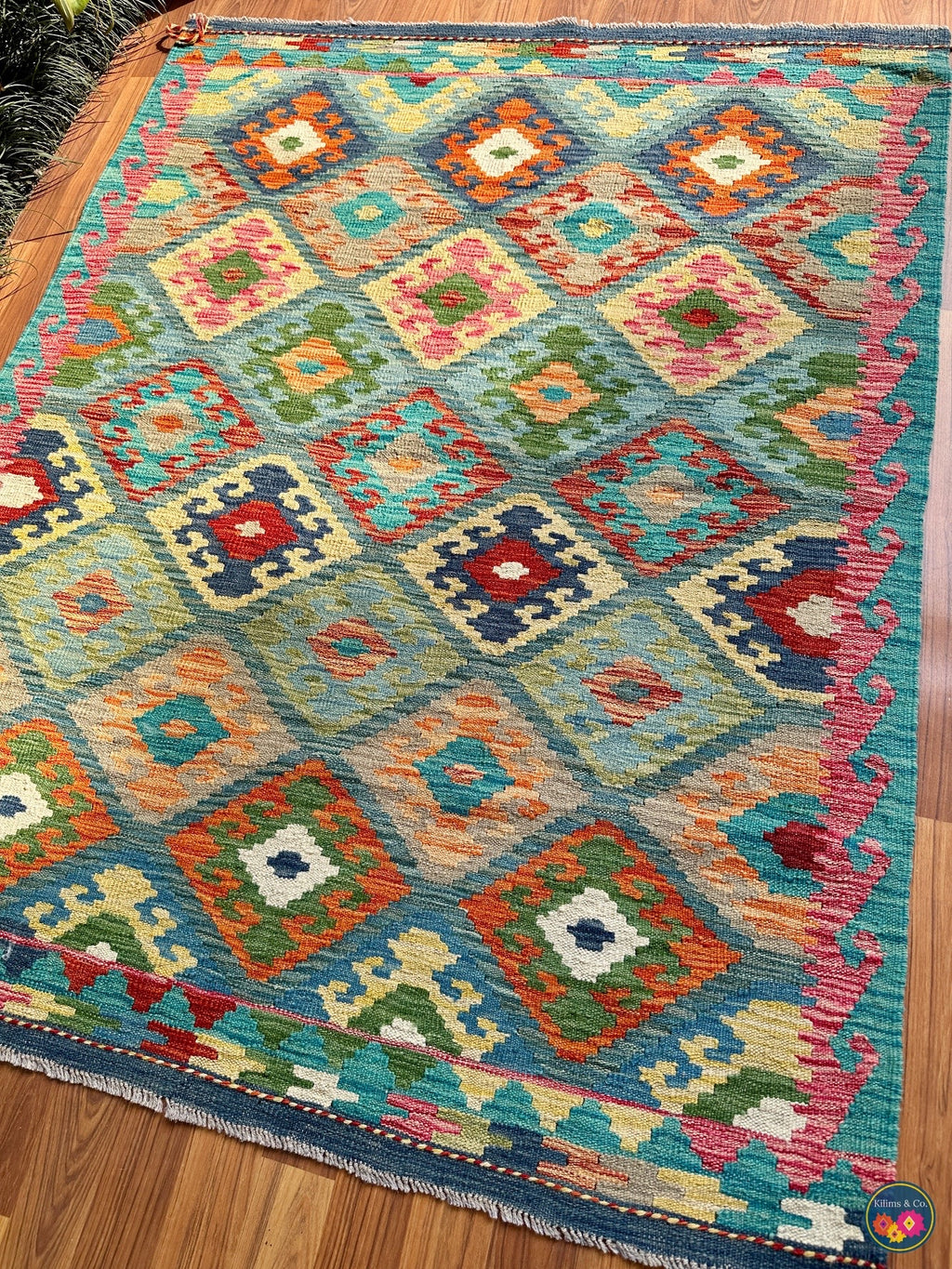 Pure wool kilim (5′5″ × 4′3″)