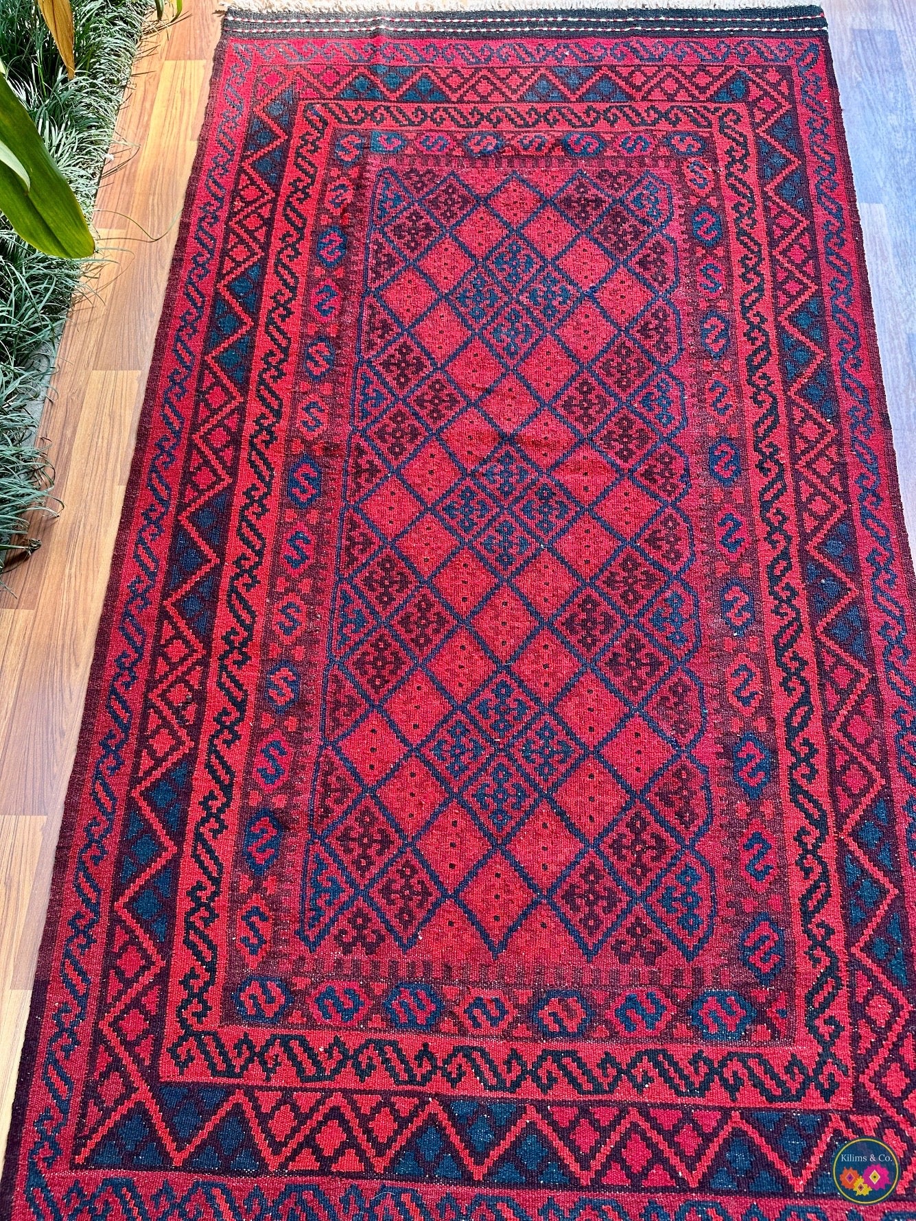 Pure wool Ghalmoori kilim (6′6″ × 3′7″)