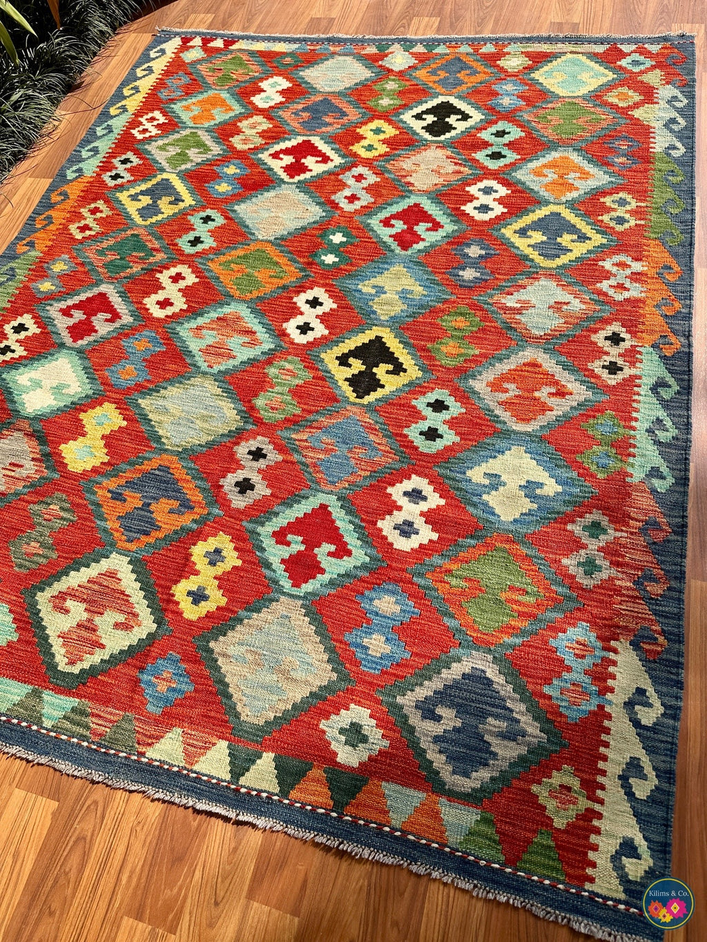 Pure wool kilim (6′5″ × 5′0″)