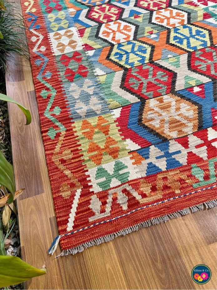 Pure wool kilim 5'11"x4'1