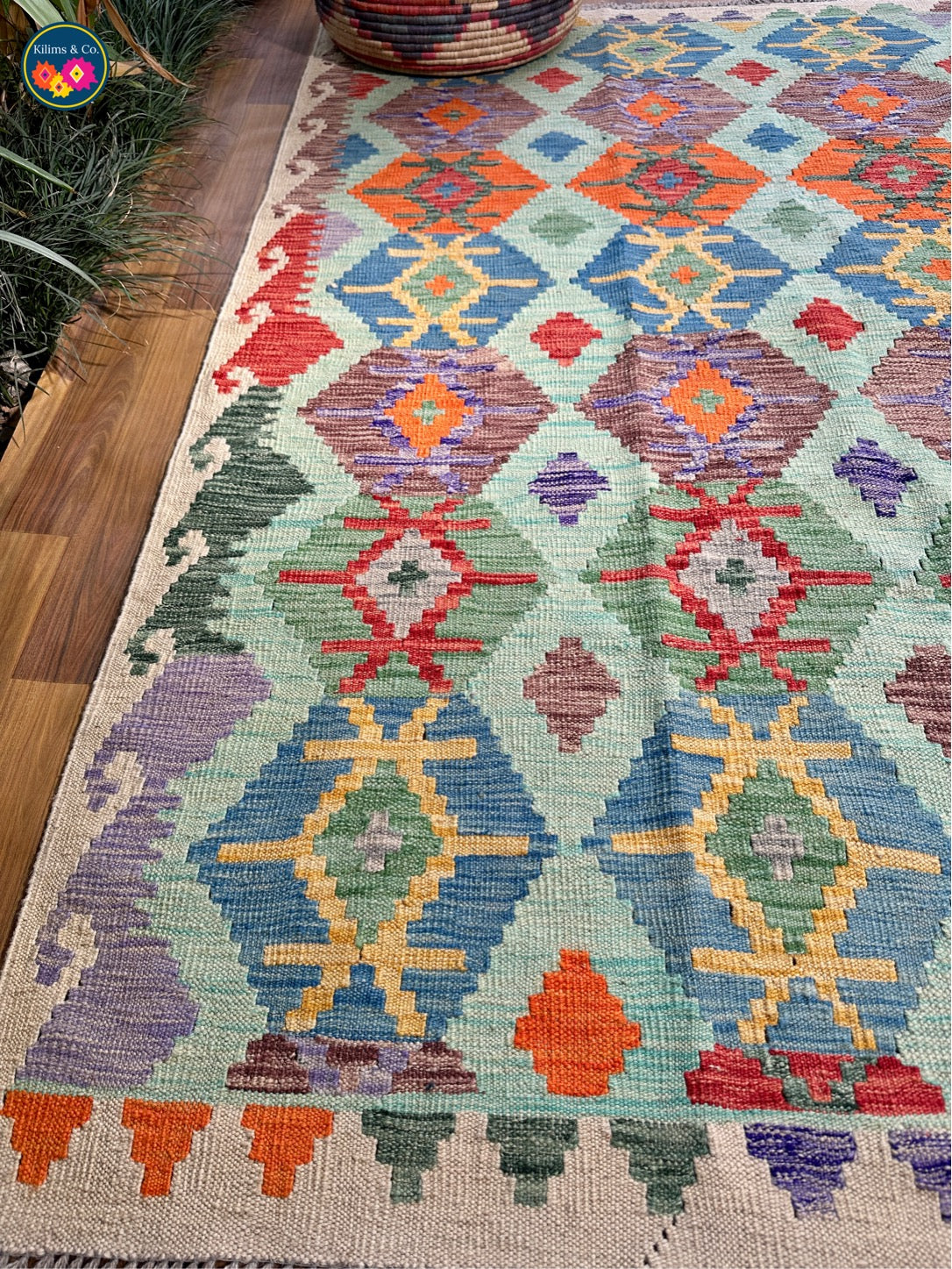 Pure wool kilim (6'6"x5'4”)