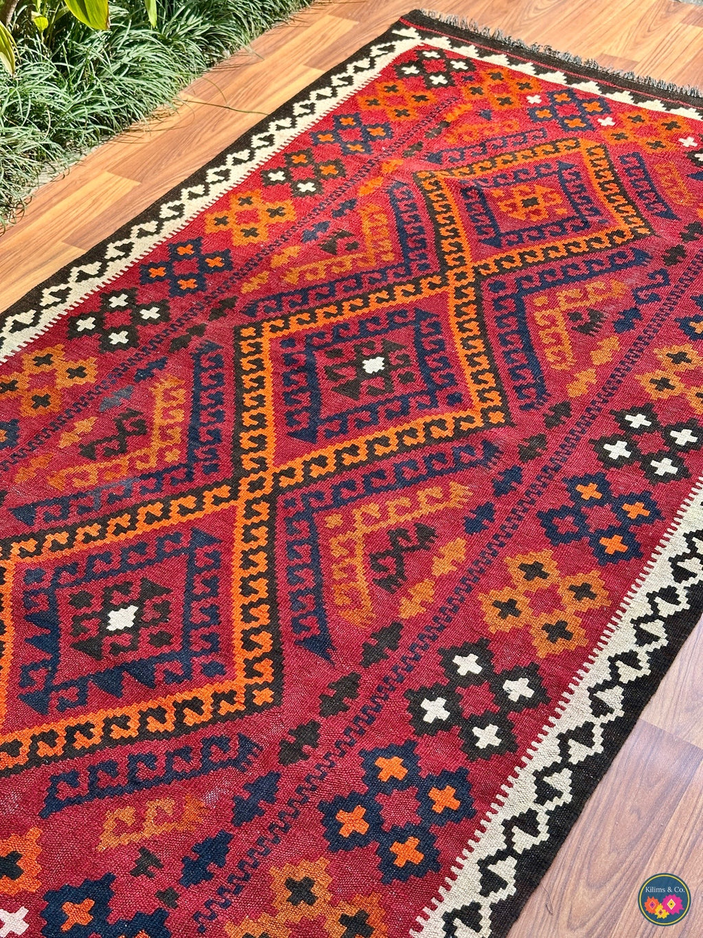 Pure wool Ghalmoori kilim (6′6″ × 3′7″)