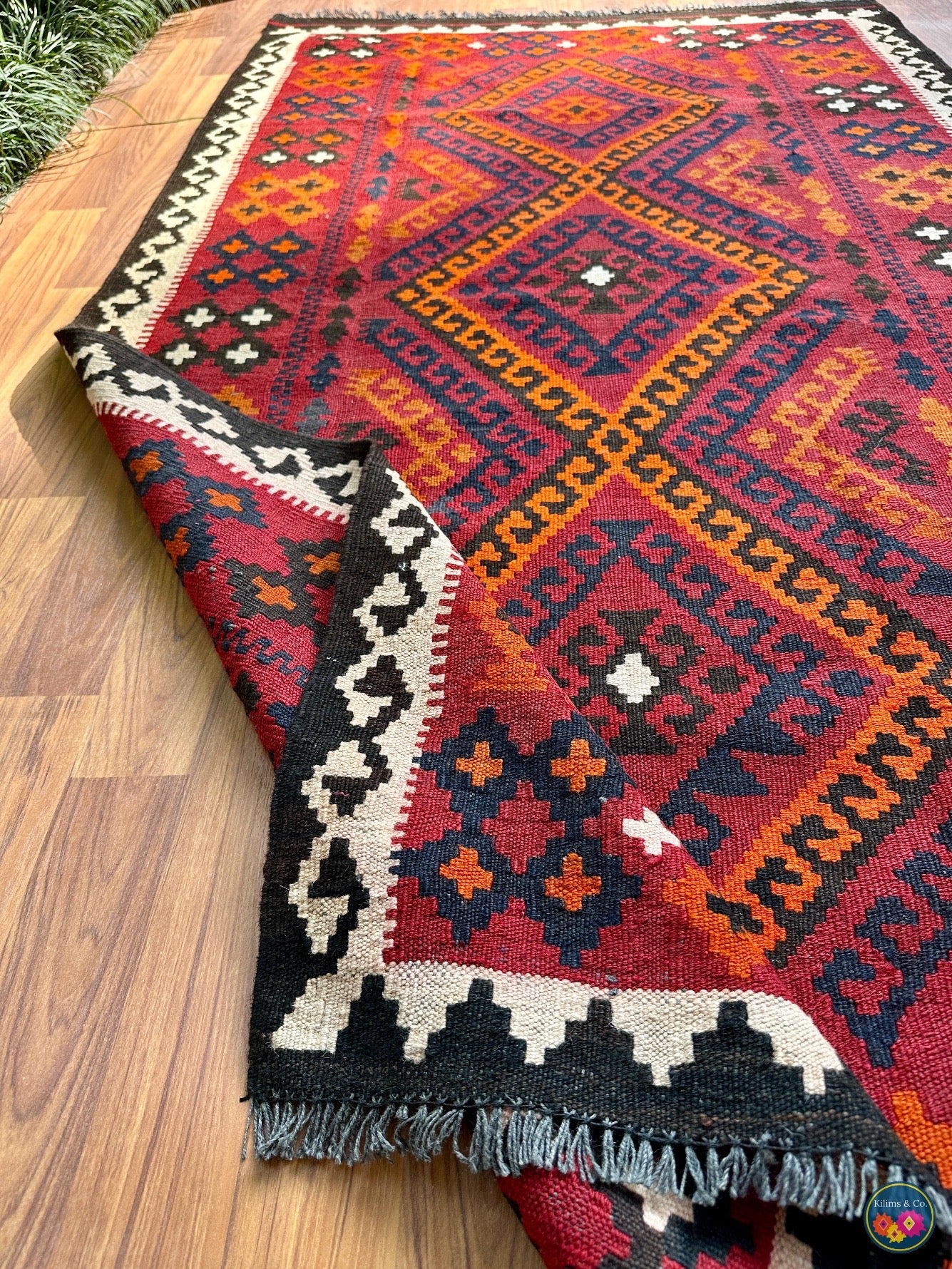 Pure wool Ghalmoori kilim (6′6″ × 3′7″)