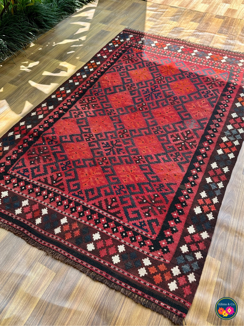 Pure wool kilim 5’1x3’4
