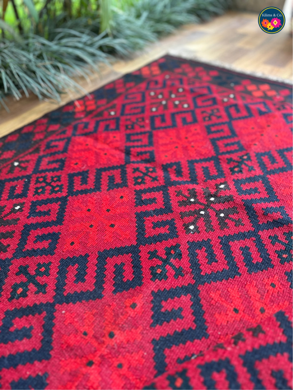 Afghan Beauty 46.0 (3’10”x3’4”)