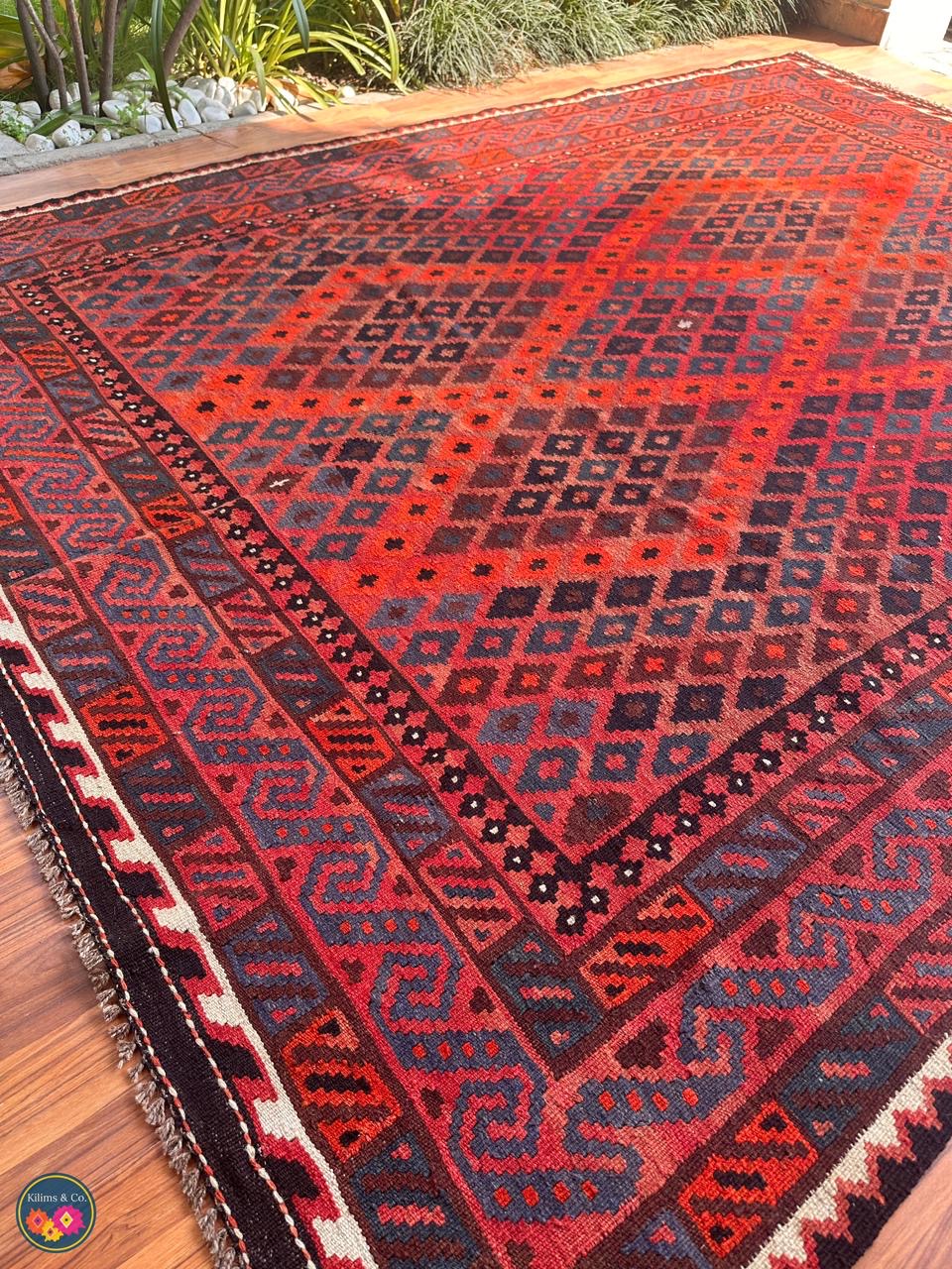 Pure Wool kilim 8ft 4in x 6ft 4in