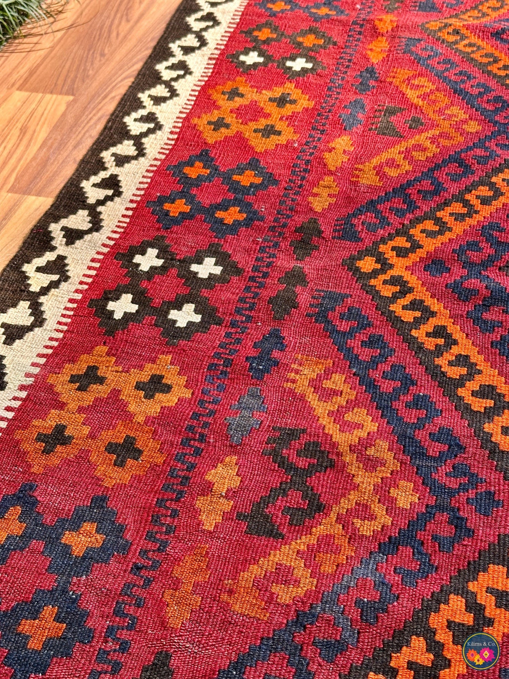 Pure wool Ghalmoori kilim (6′6″ × 3′7″)