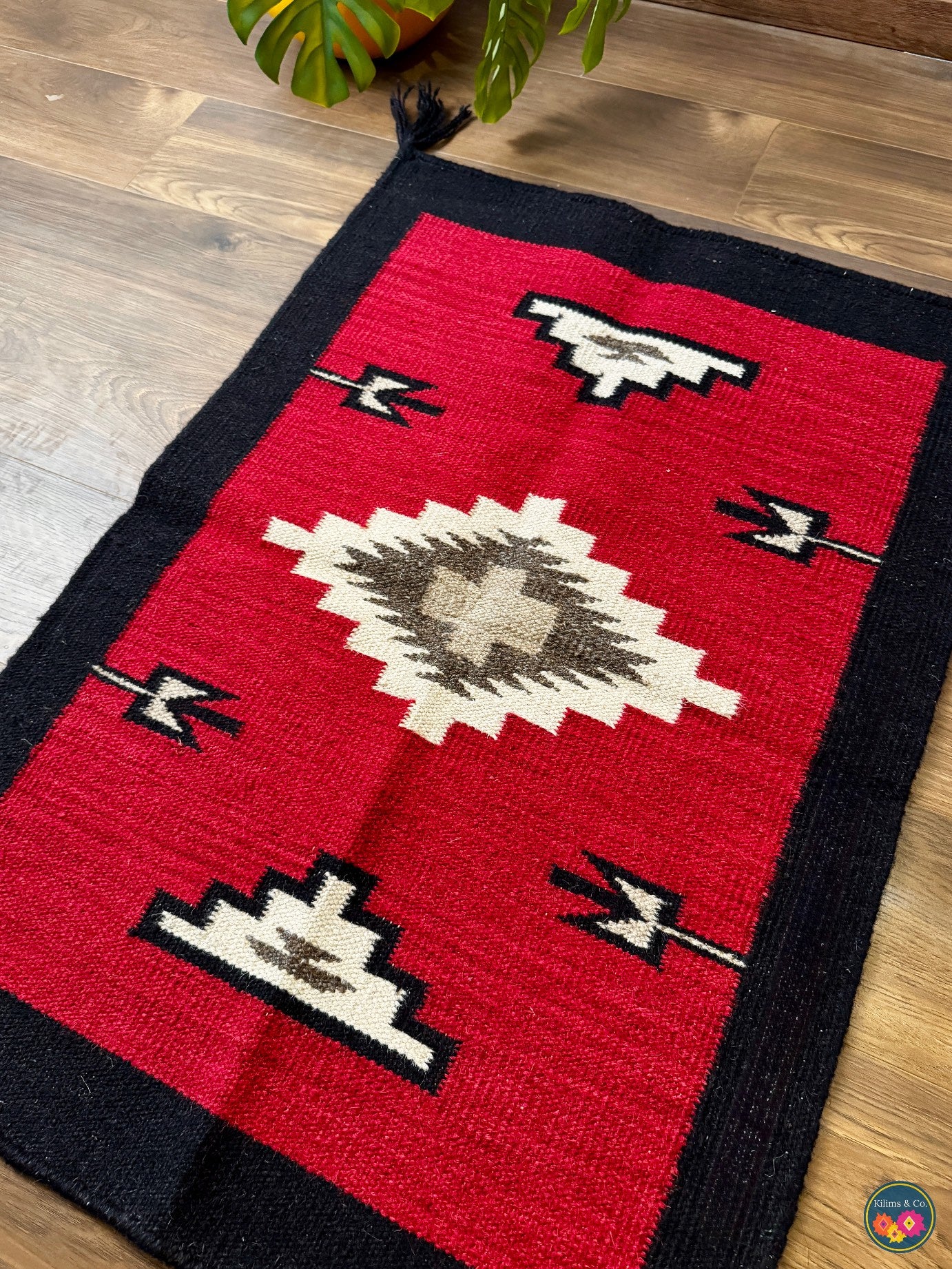 Pure Wool Hanging kilim (3’2x2’1)